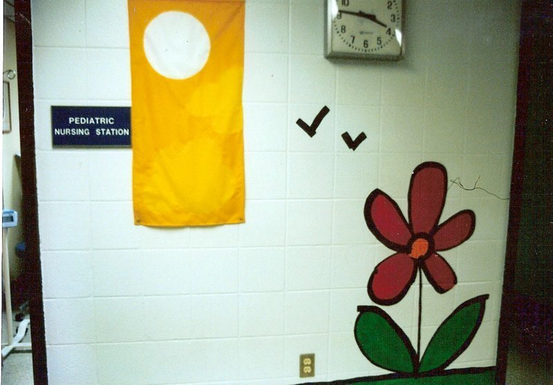 Southside Regional Hospital Pediatric Ward, Farmville VA