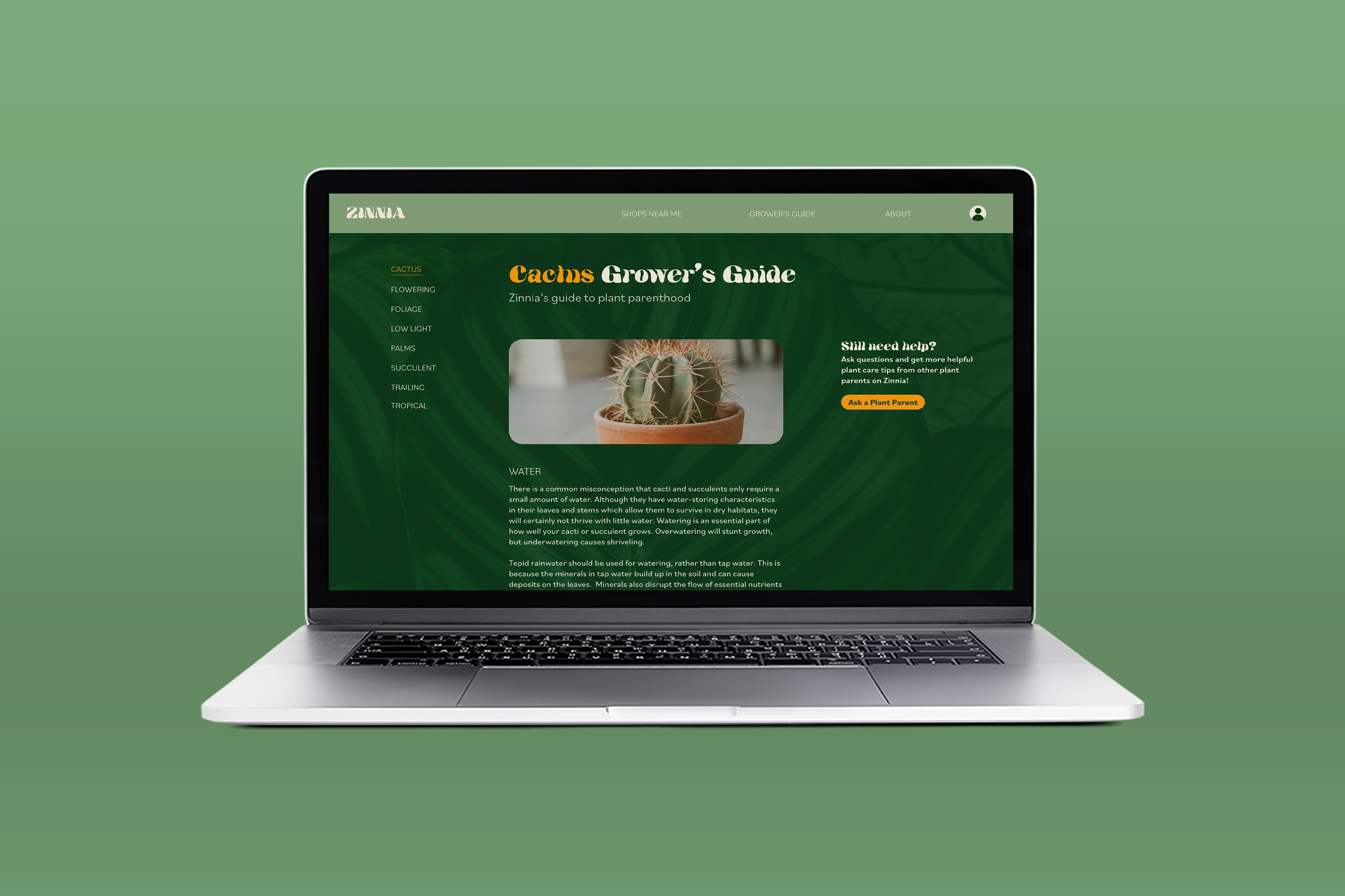 Cactus Grower's Guide