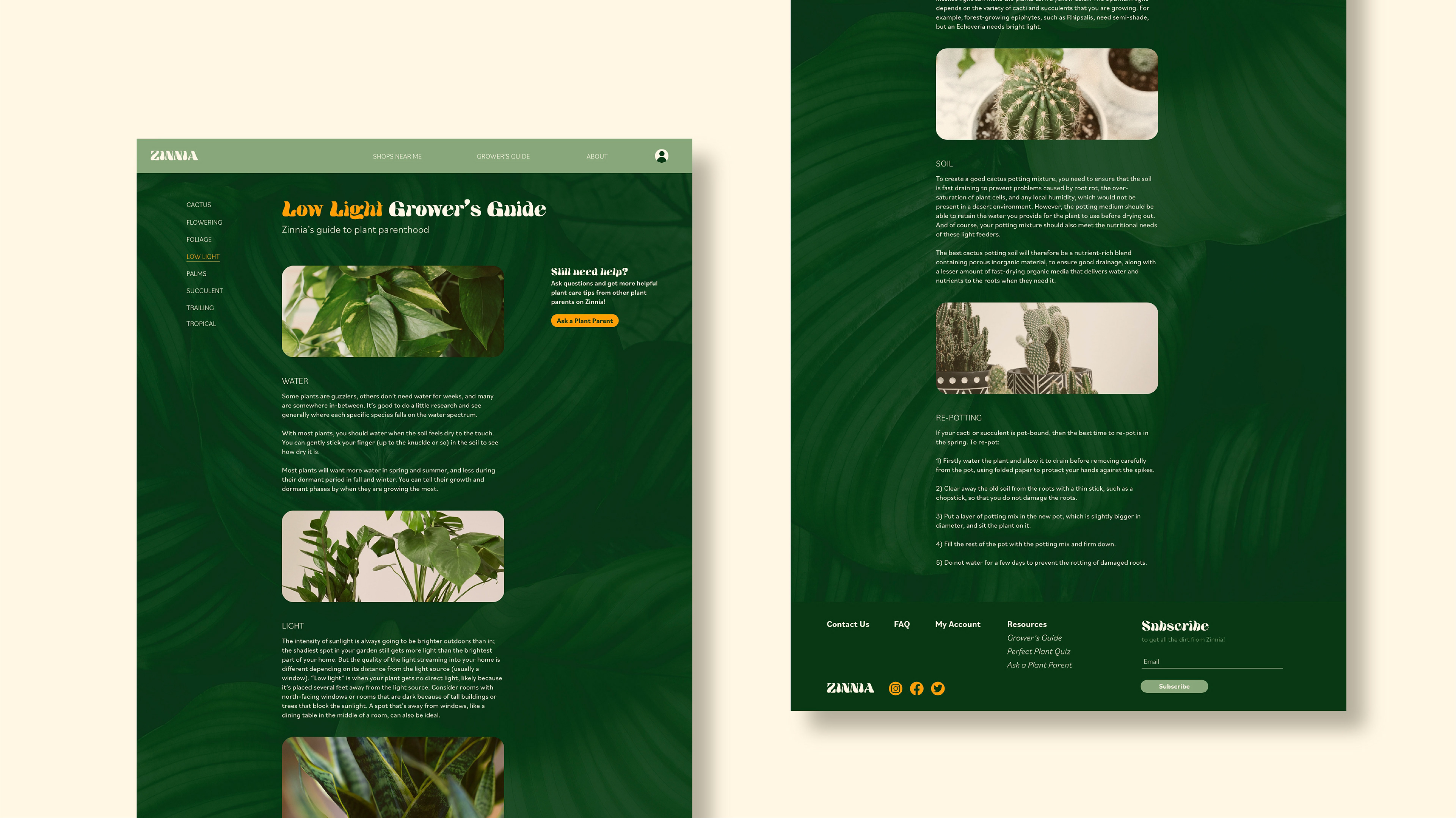 Grower's guide page for low light and cactus plants. The page offers guidance on how to care for these specific plant types.