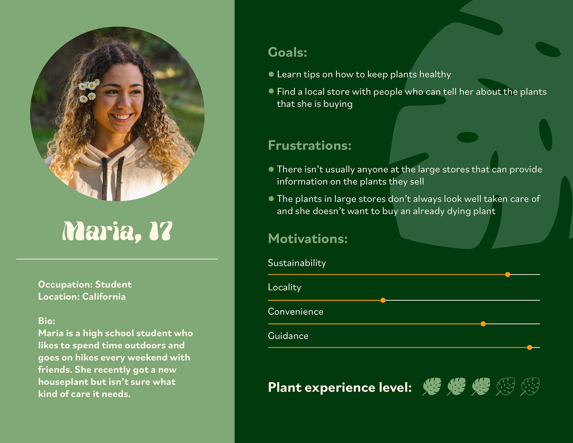 Experienced Plant Owner