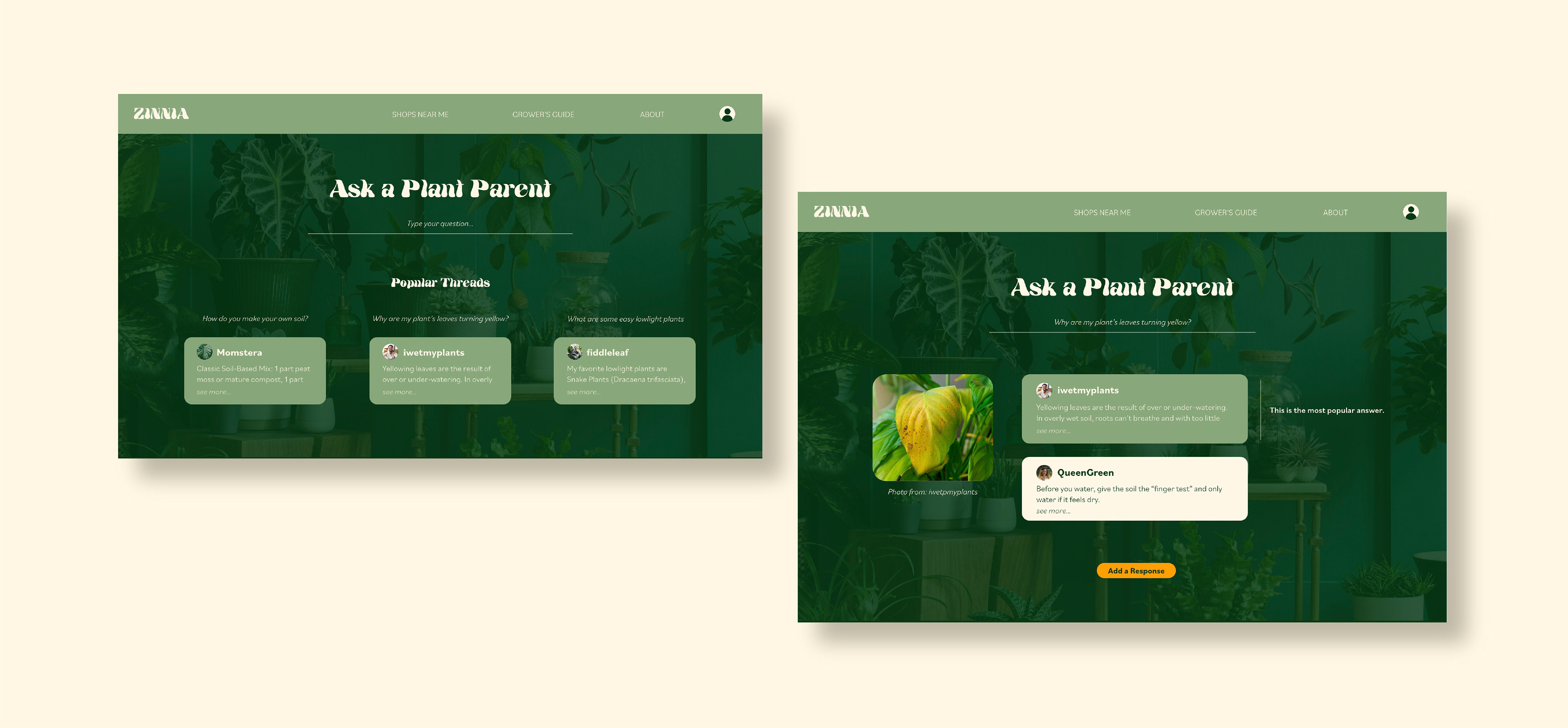 Ask a Plant Parent page. The left screen shows where you can type your question or select a popular thread. The right screen shows a thread about yellowing leaves.