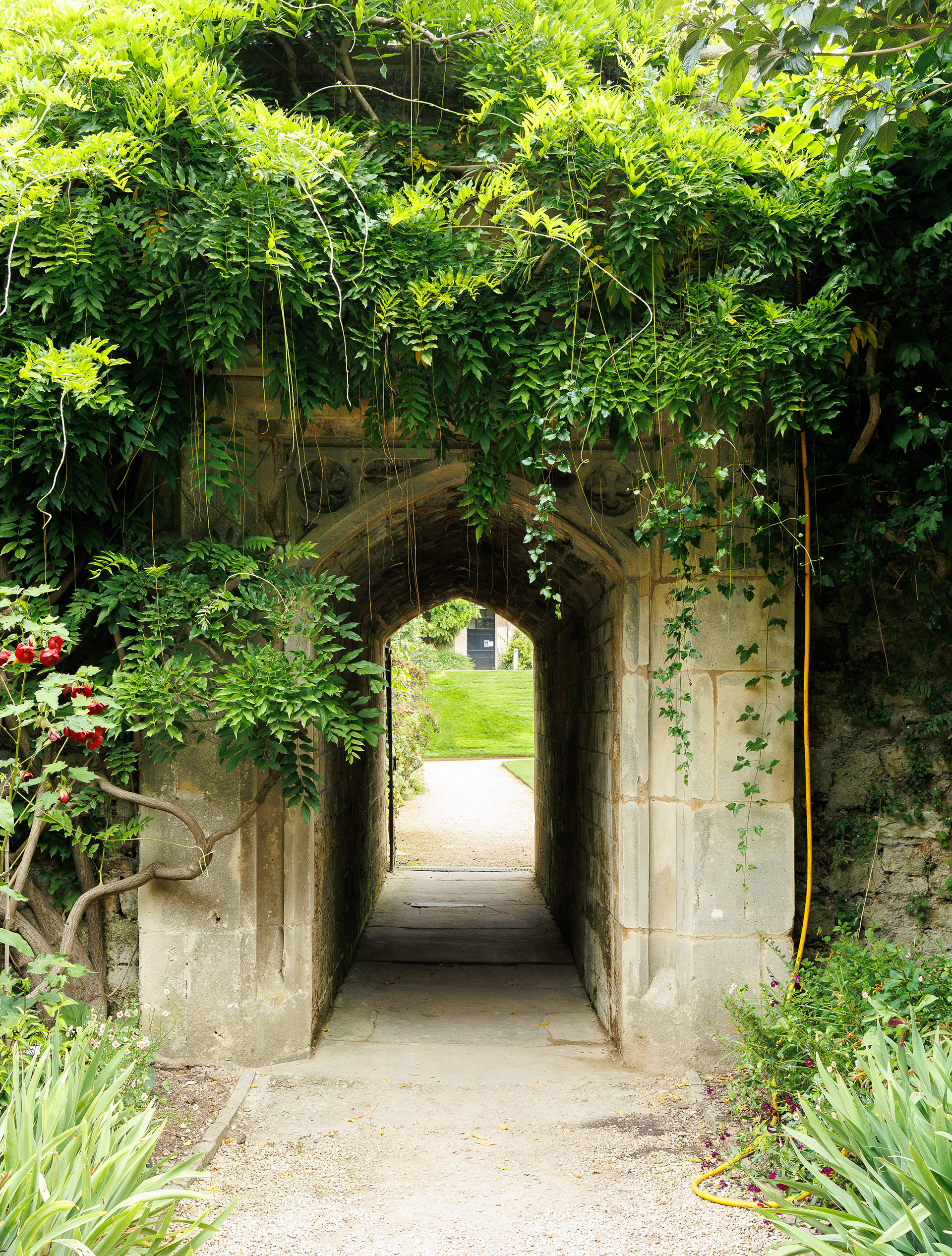 Passageway between the garden and the quad