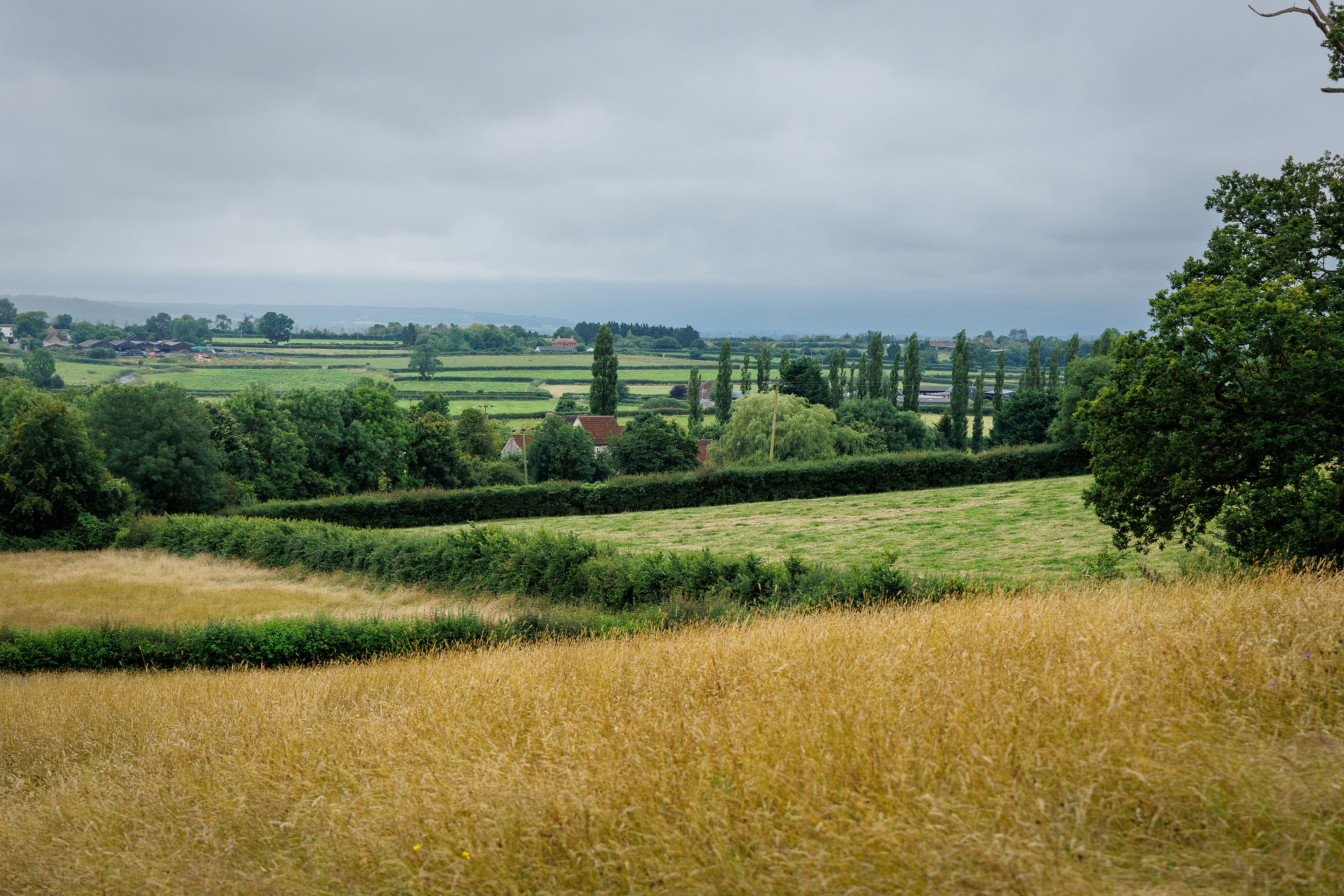 The view from the top of the meadow