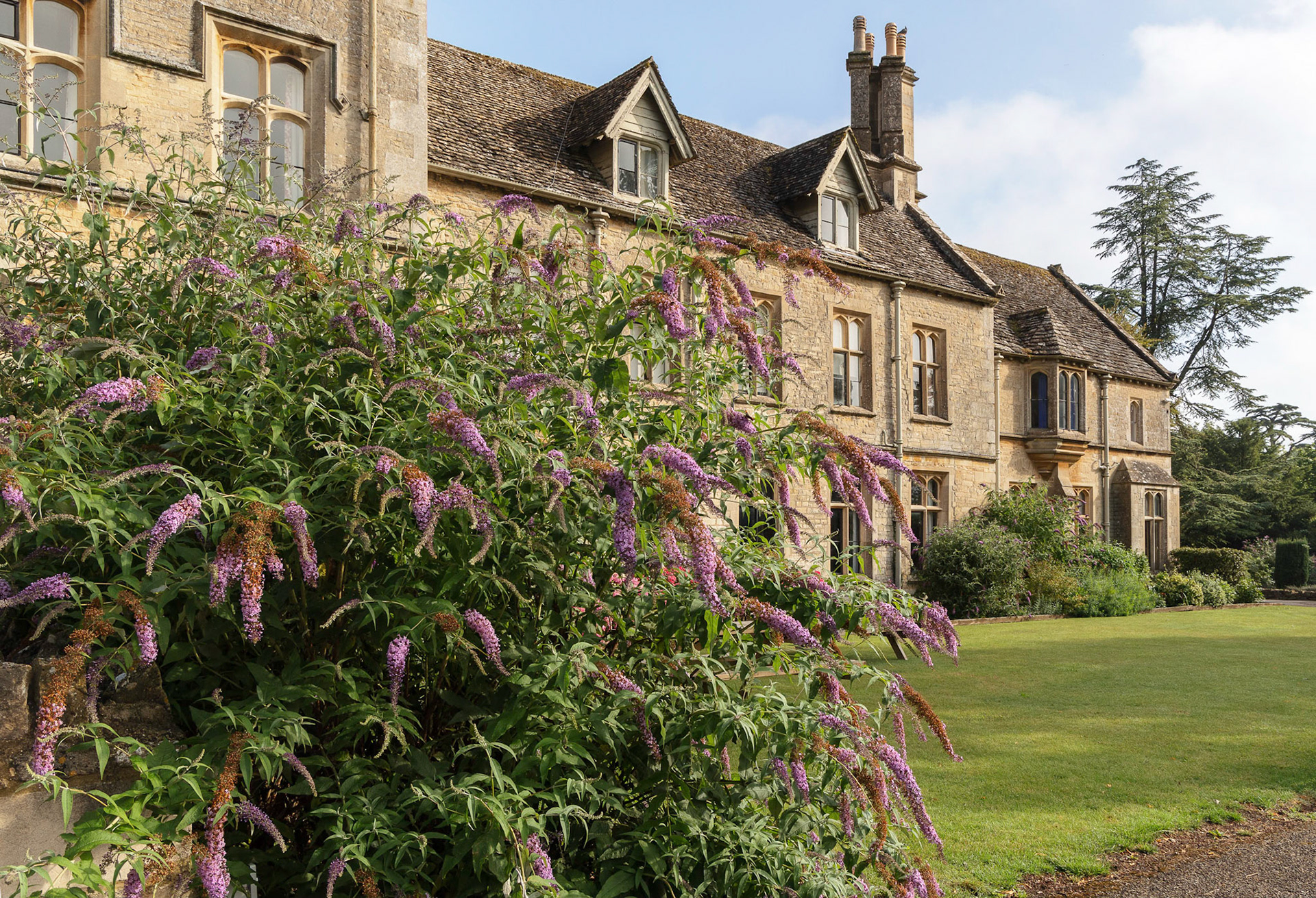 Royal Agricultural University