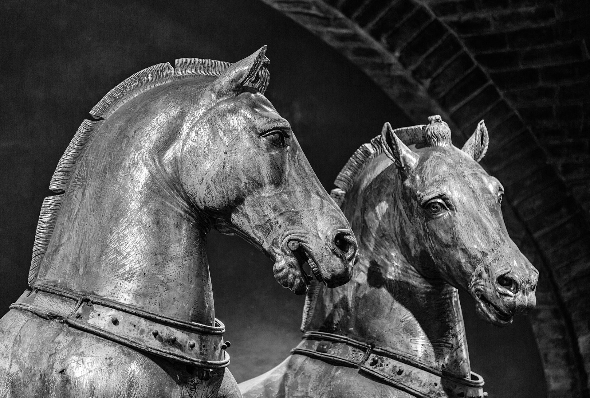 Horses of St Mark