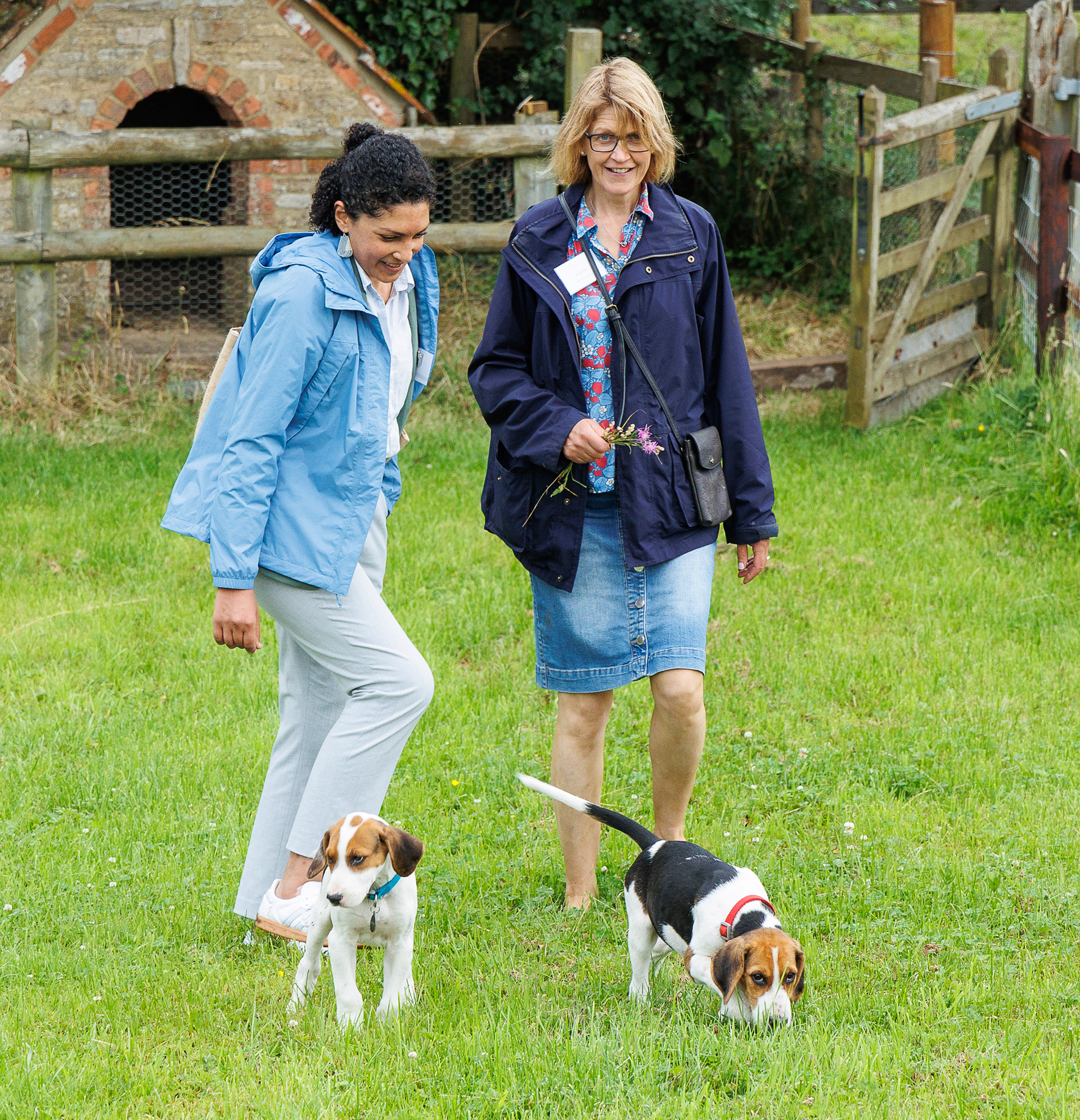 Sophie and Ava  admire the puppy hounds