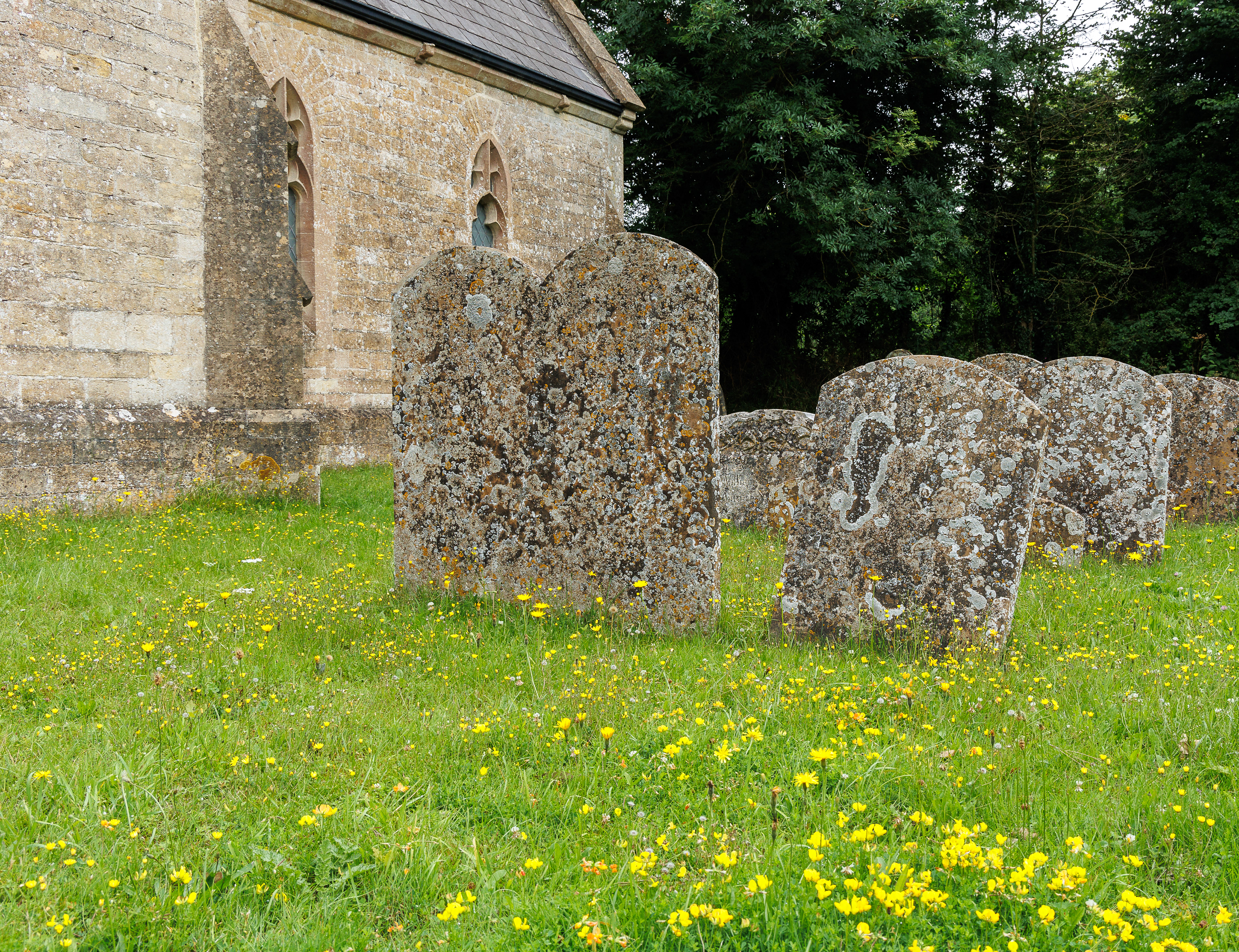 A serious house on serious earth it is