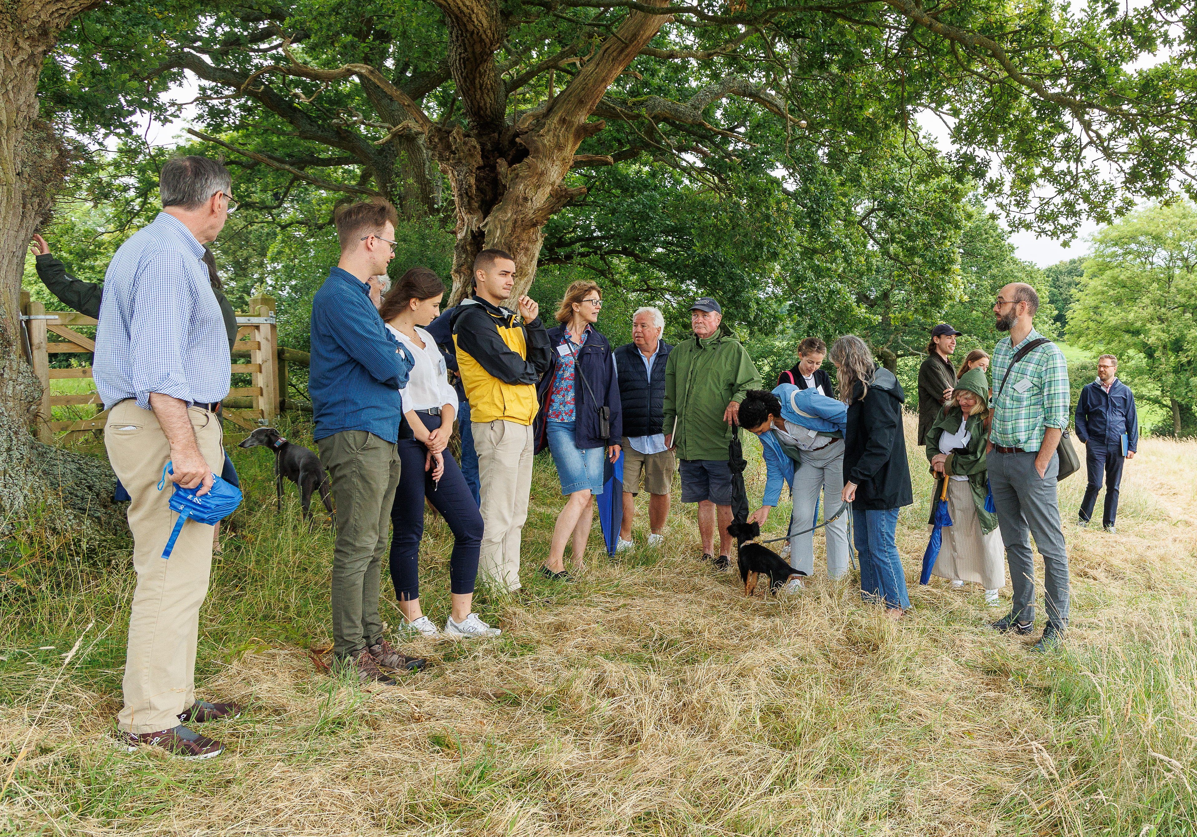 Sophie talks about her meadow and the trees
