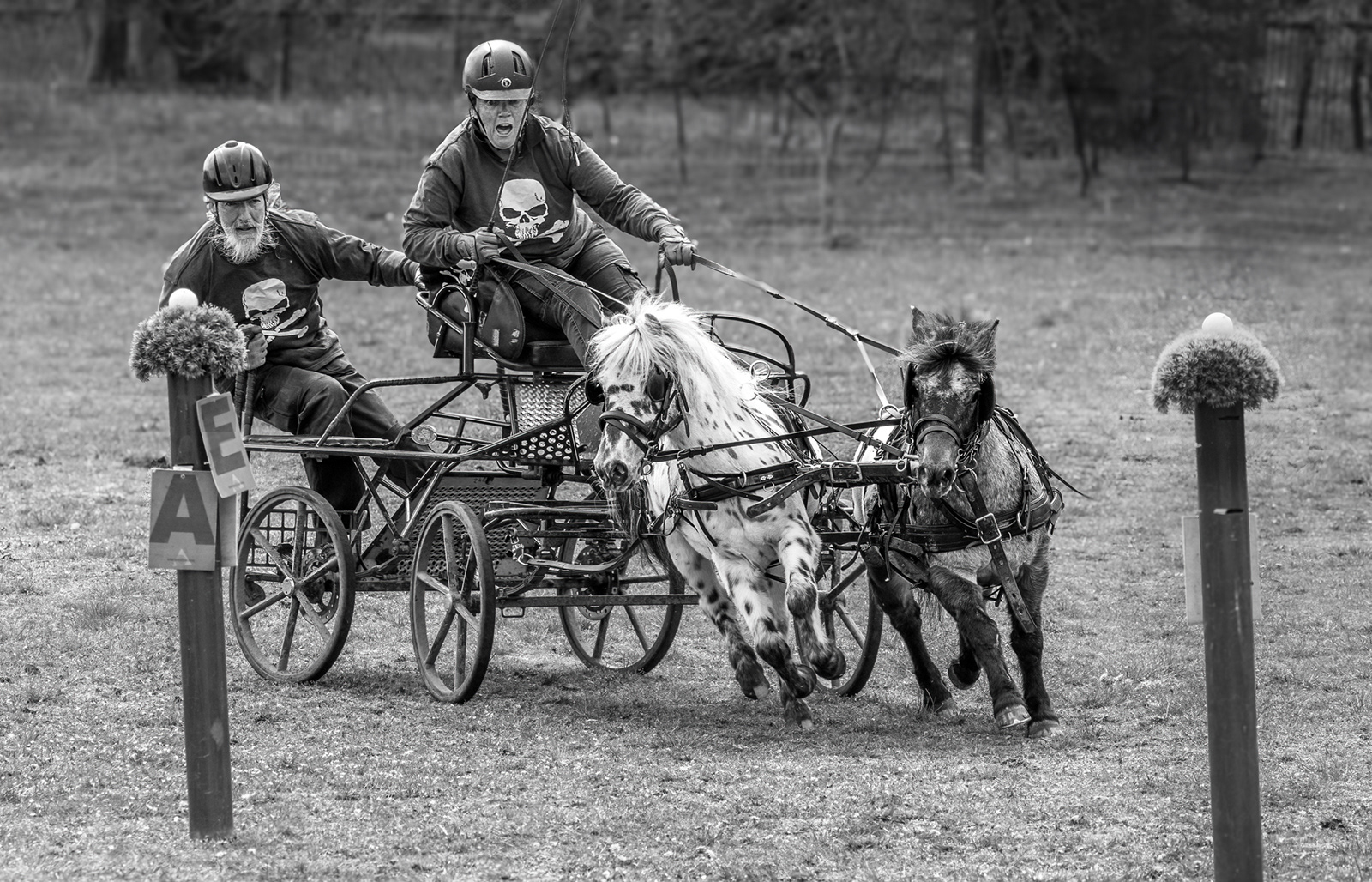 Teamwork