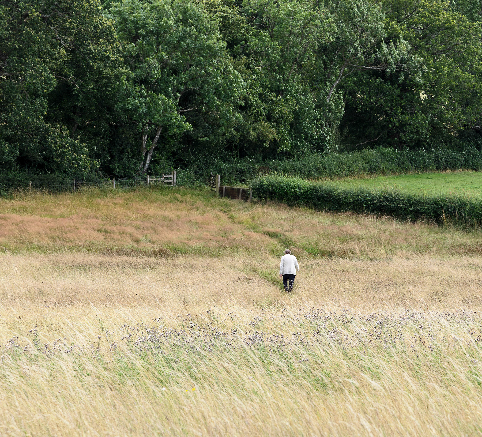 Mark beats a retreat