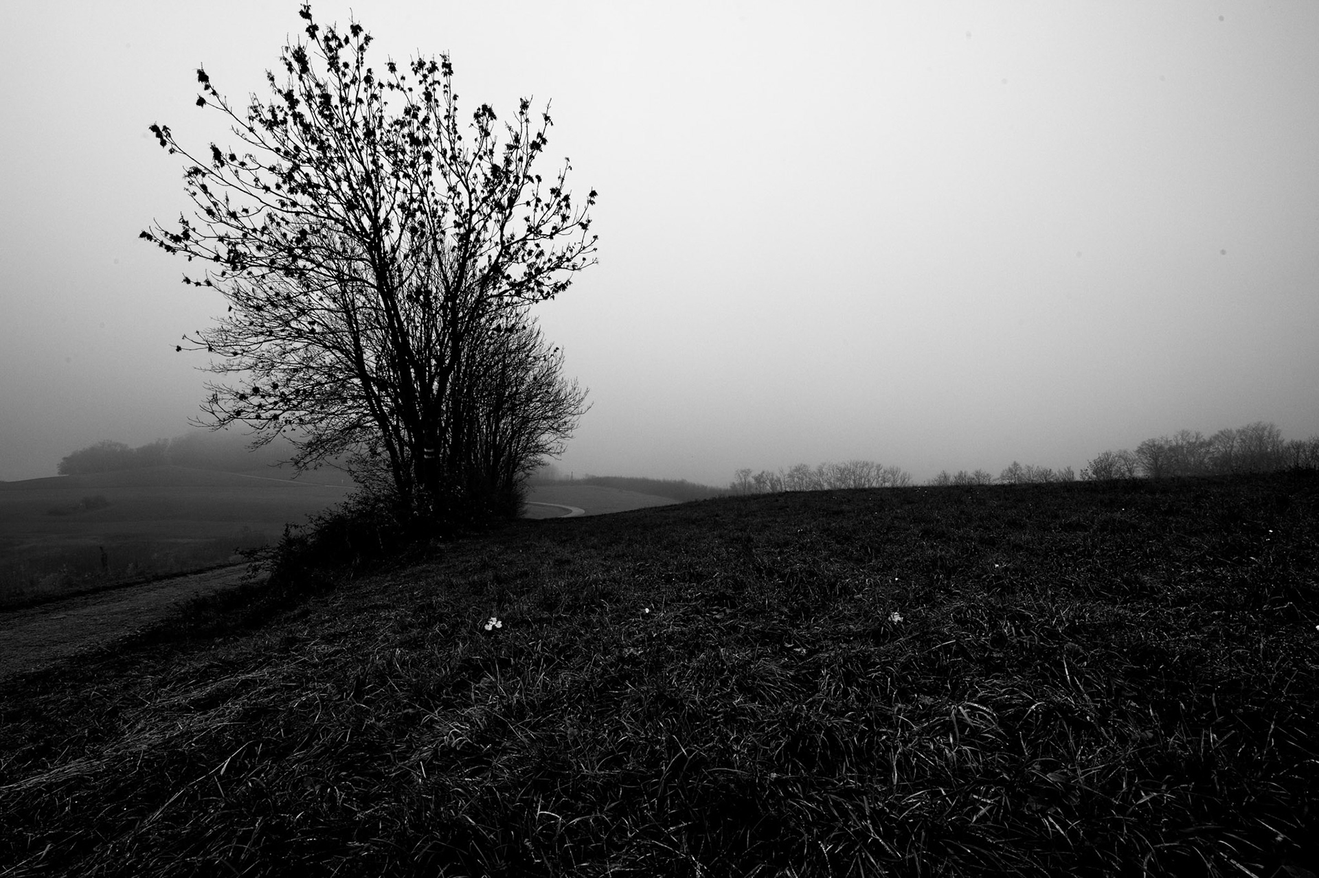 So schön kann Herbst sein. A beautiful day in autumn.