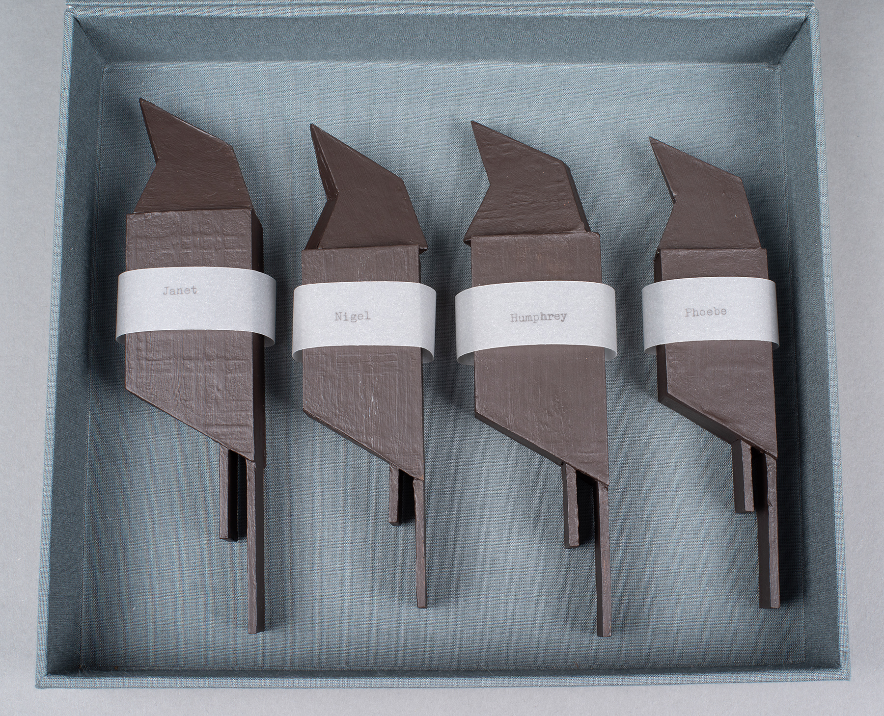 Museum collection box - finches