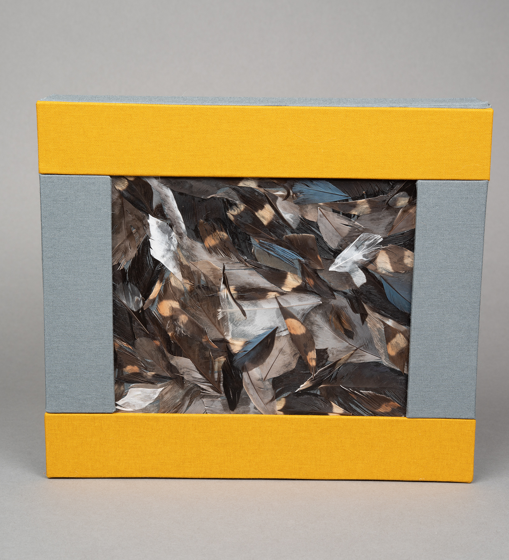 Museum collection box
