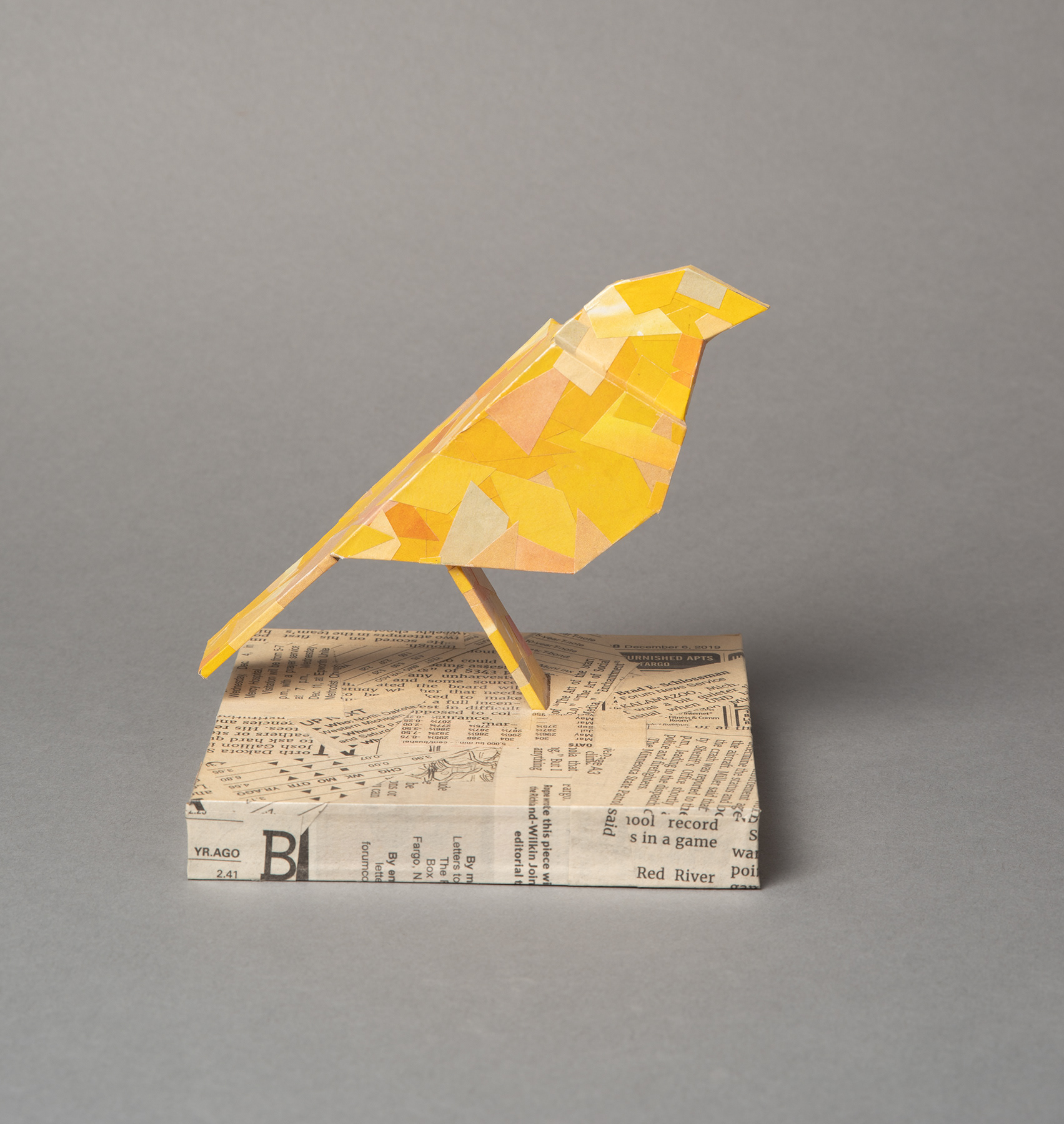 Canary
