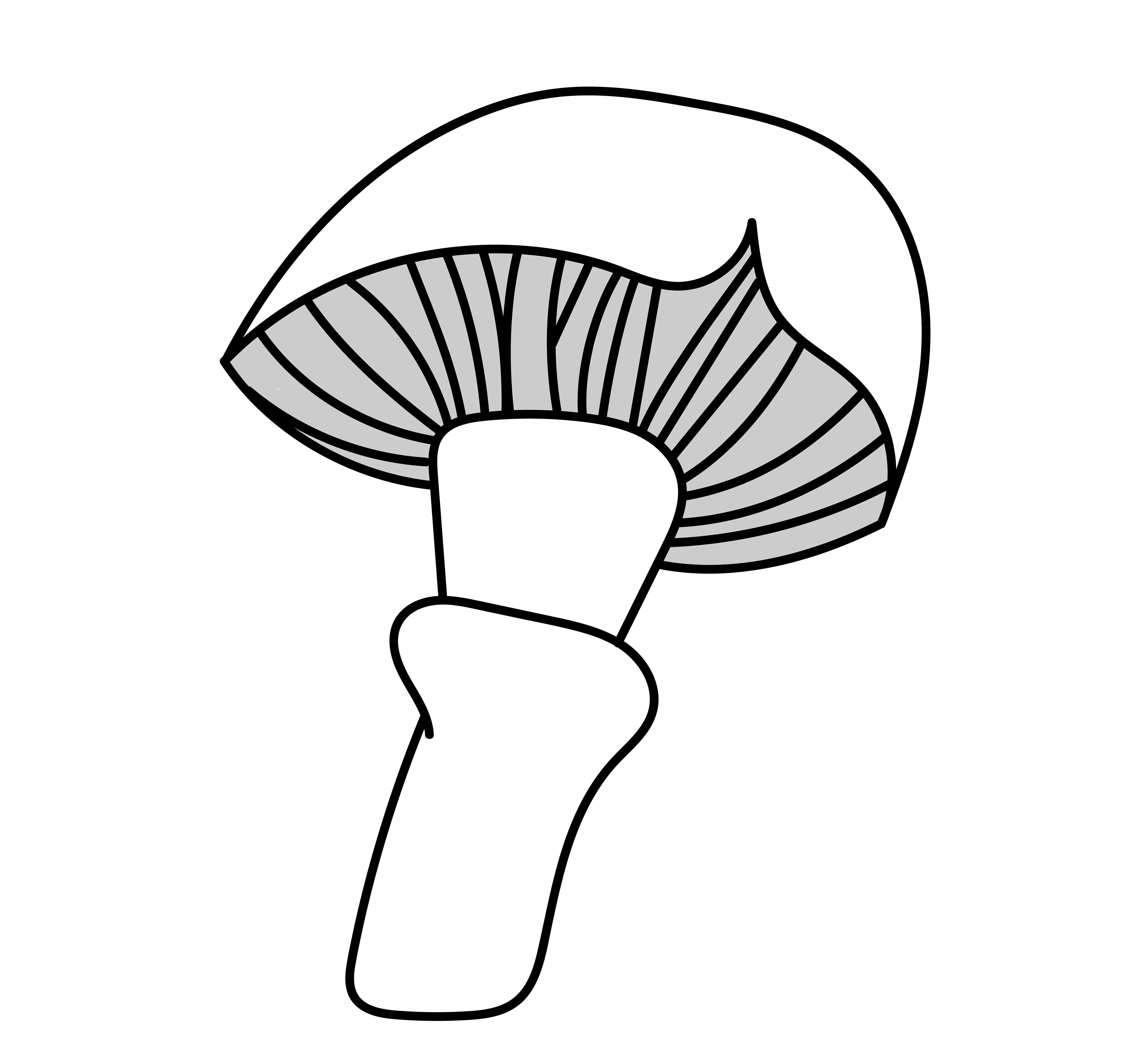 Mushroom