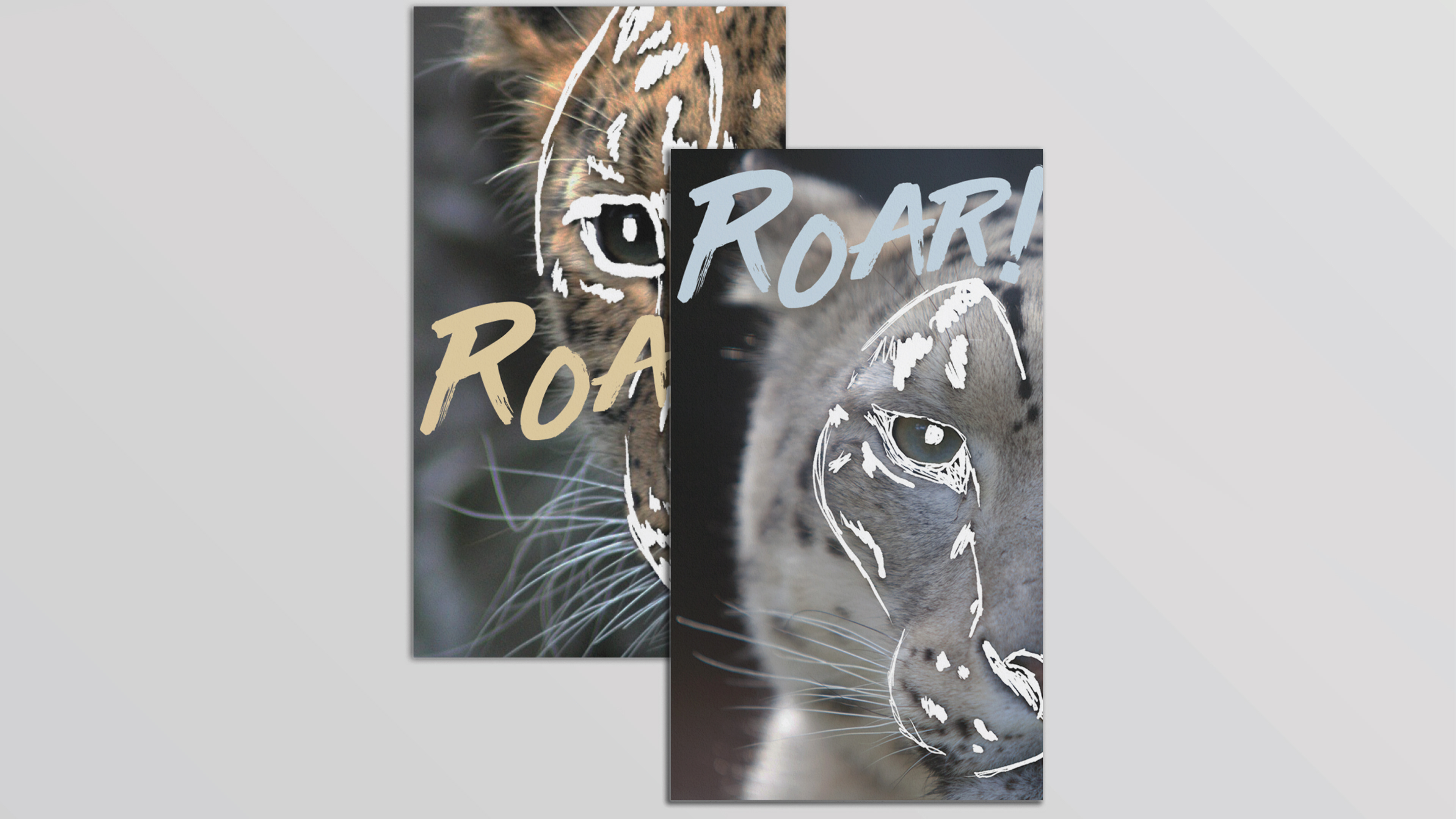 Amur Leopard and Snow Leopard Info Cards