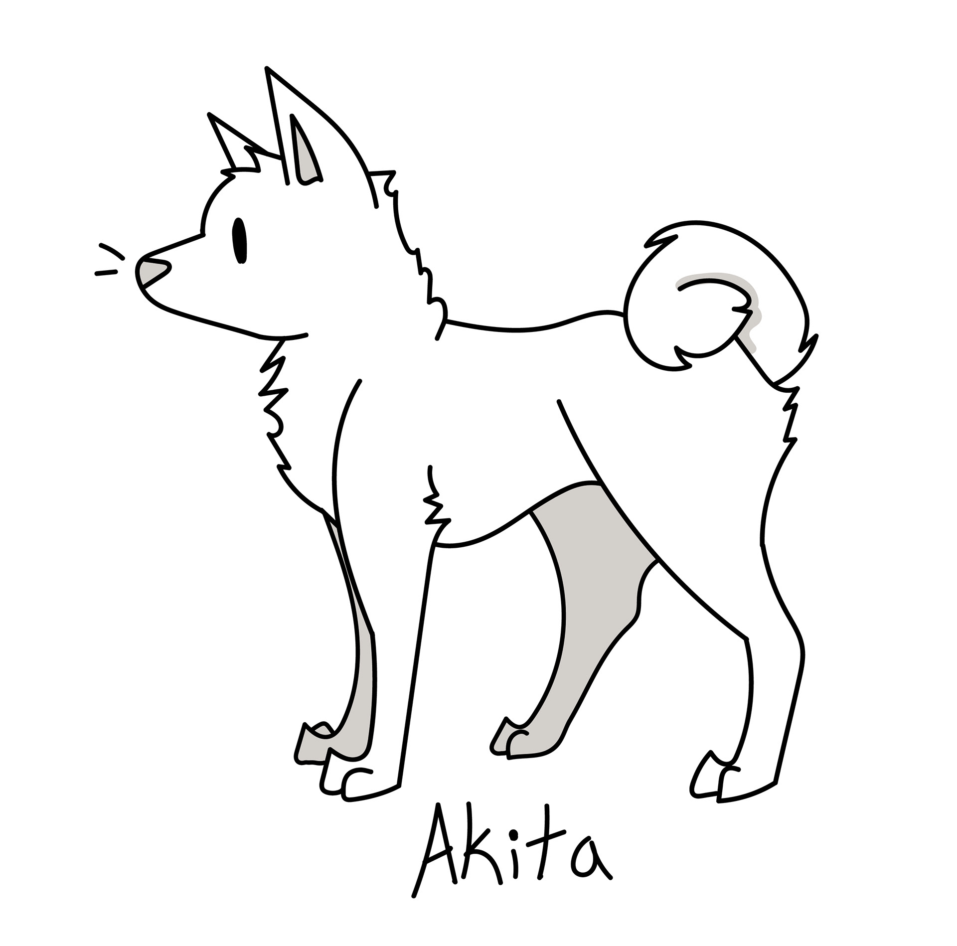 Akita