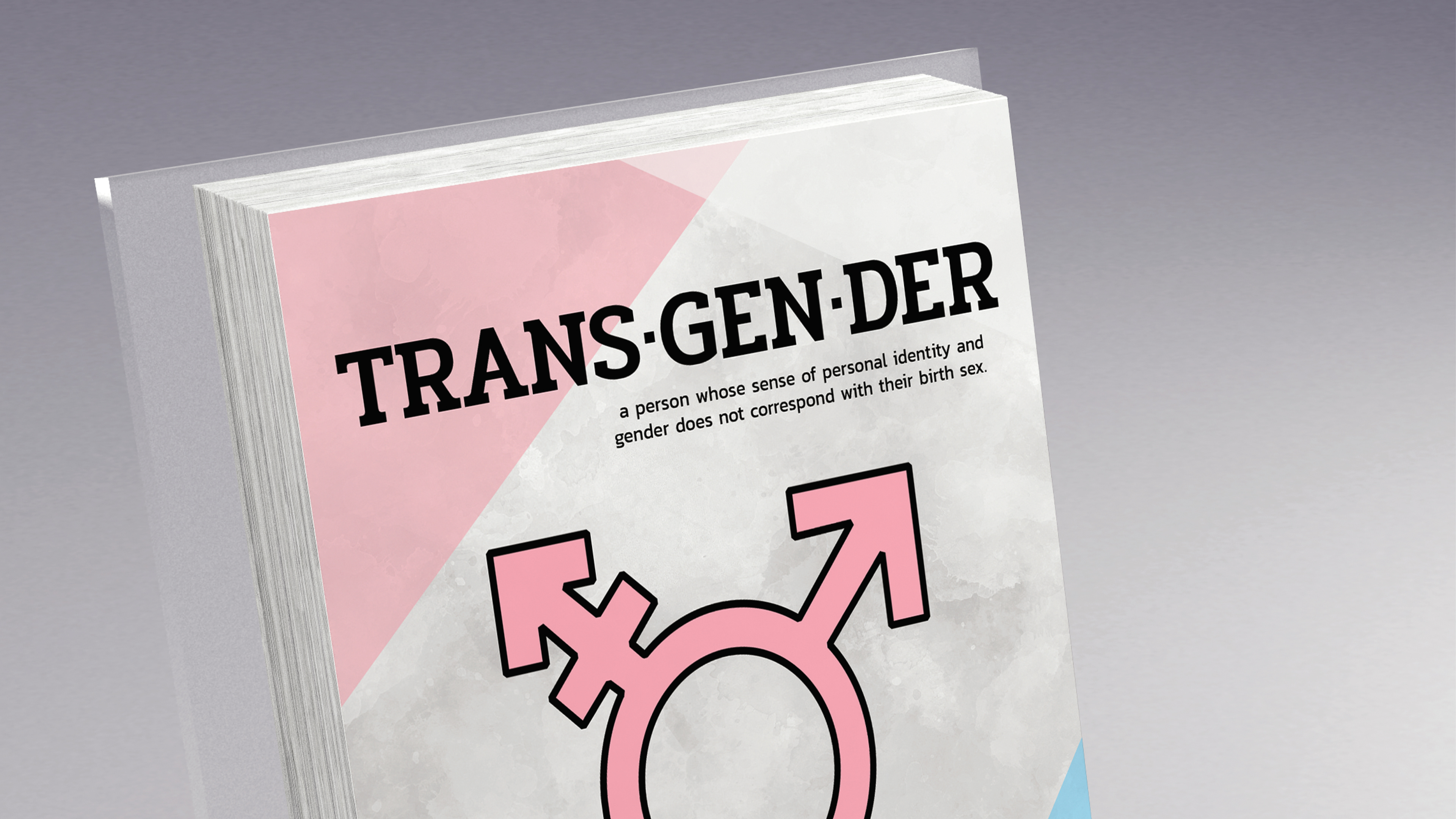Transgender Flyer