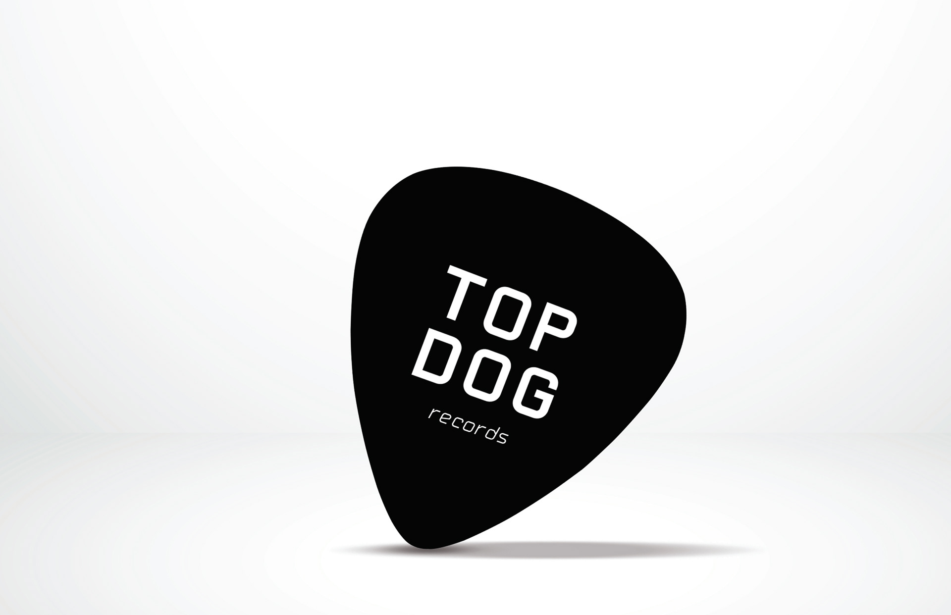 Guitar Pick