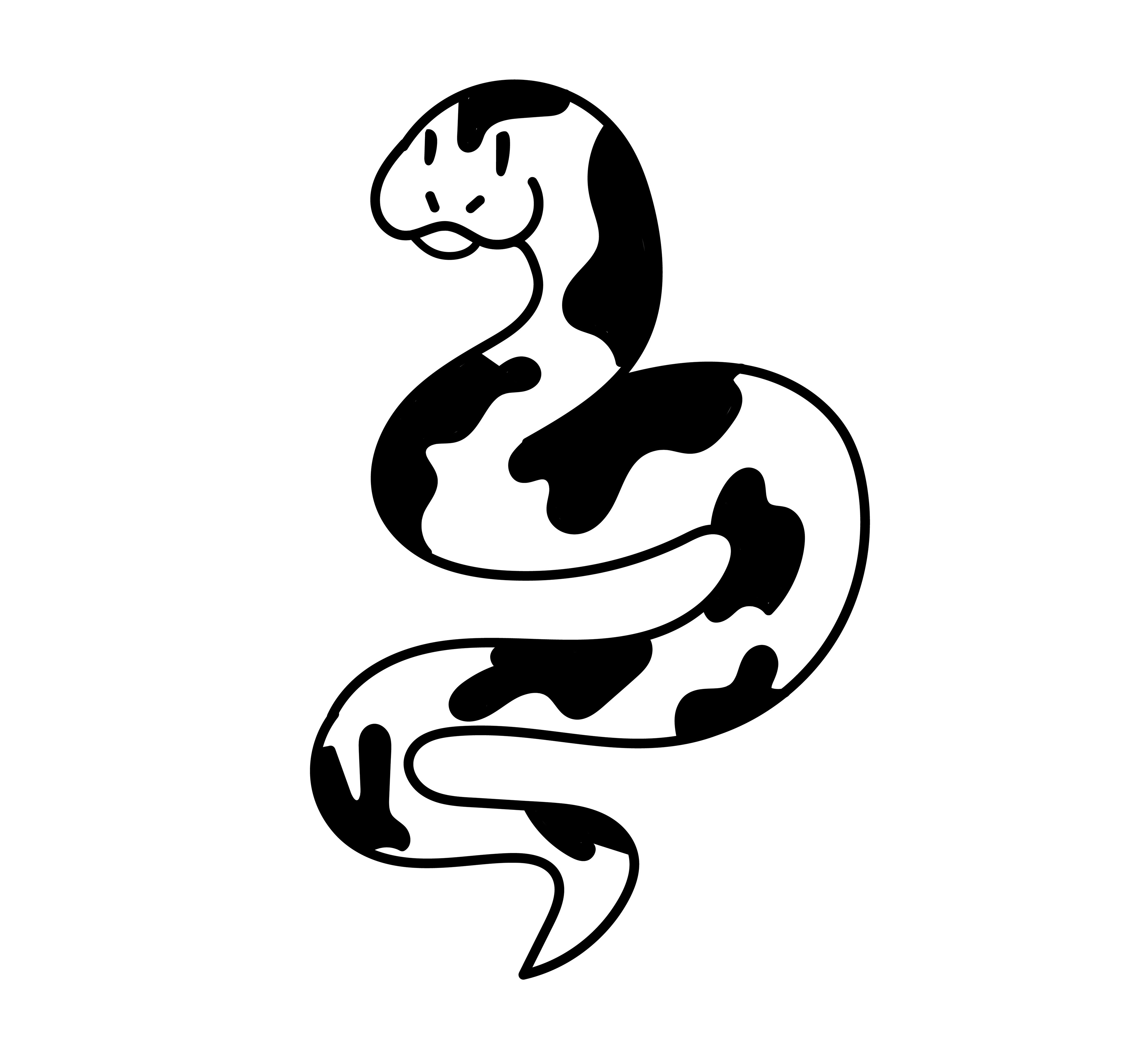 Snake