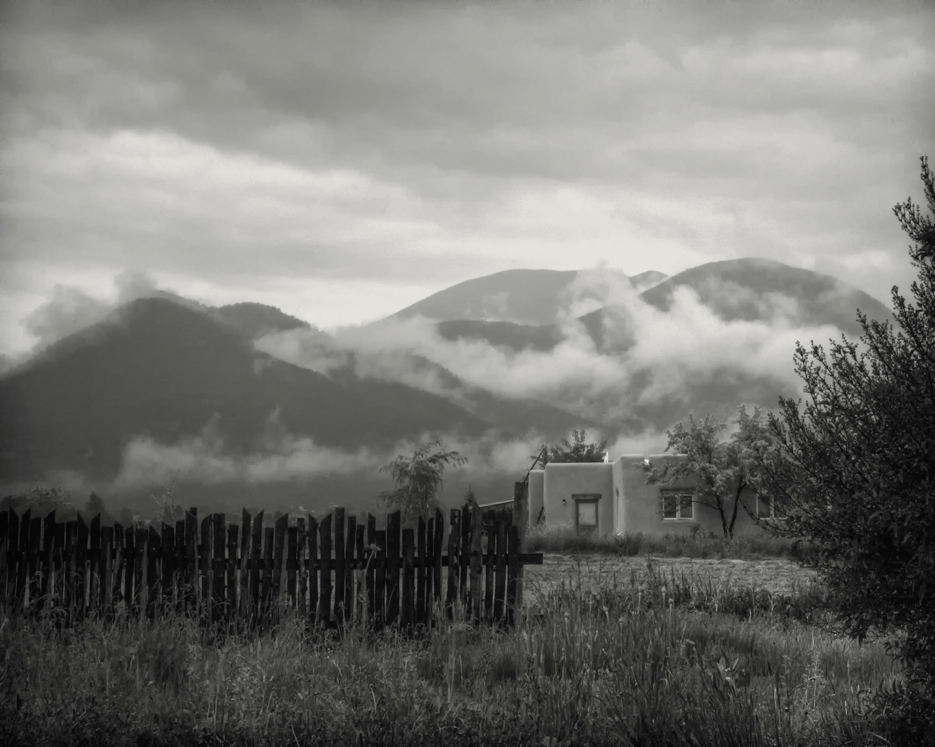 Mist in Arroyo Seco, NM