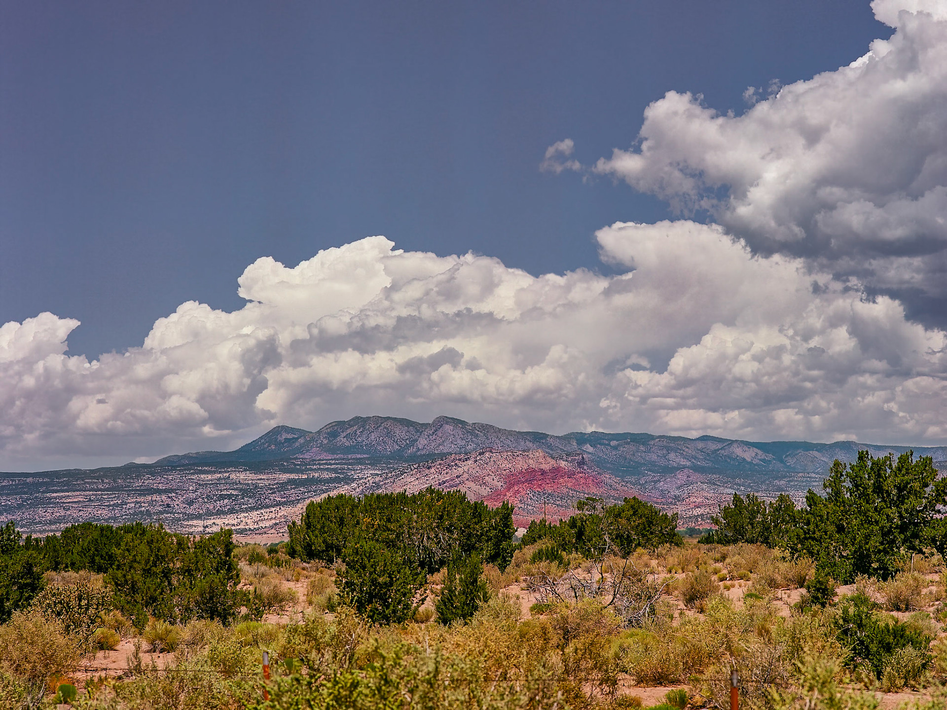 View Toward Red Mesa #1