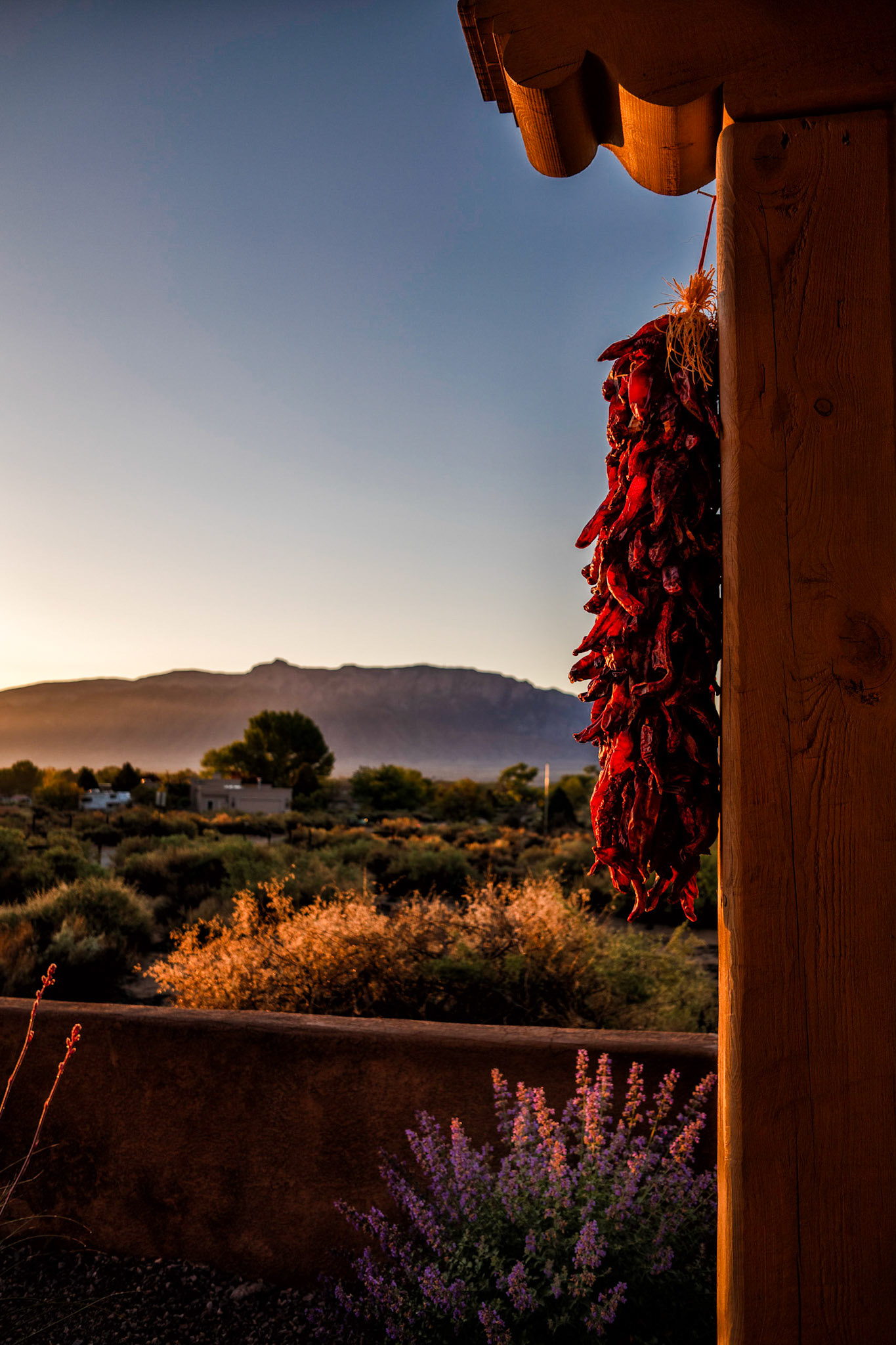 Sunrise on the Patio, Corrales, NM