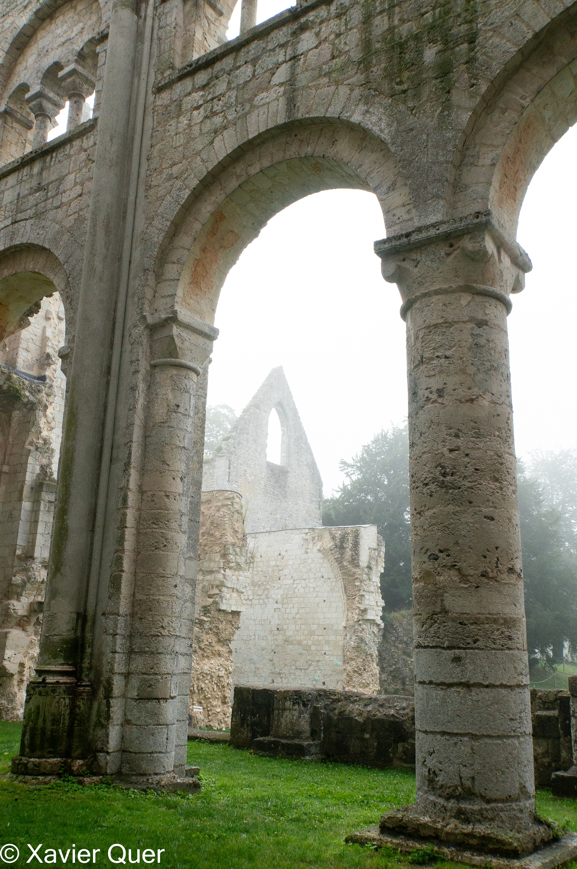 Ruïnes de l'abadia de Jumièges