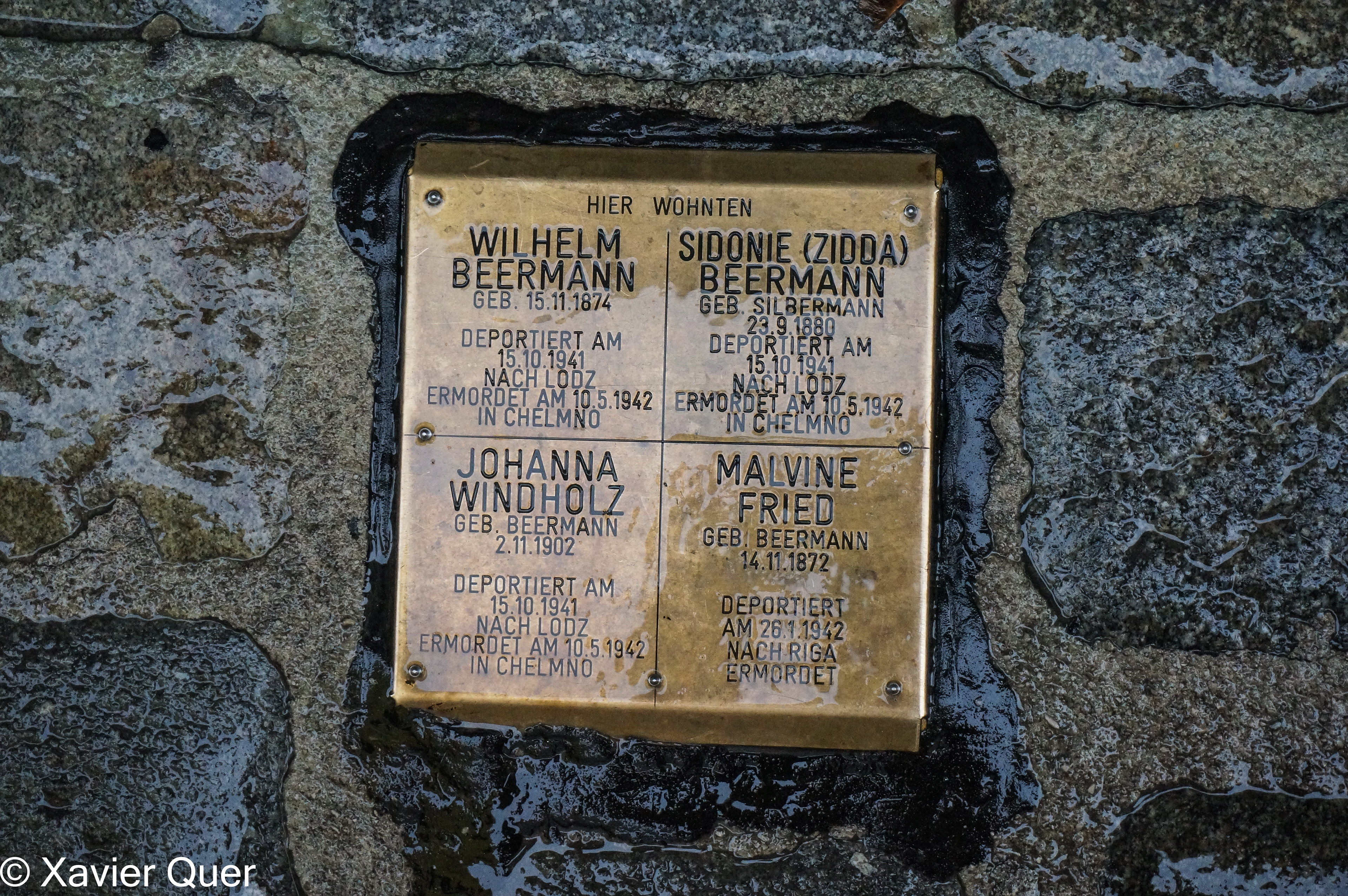 4 stolpersteine, Viena. Àustria