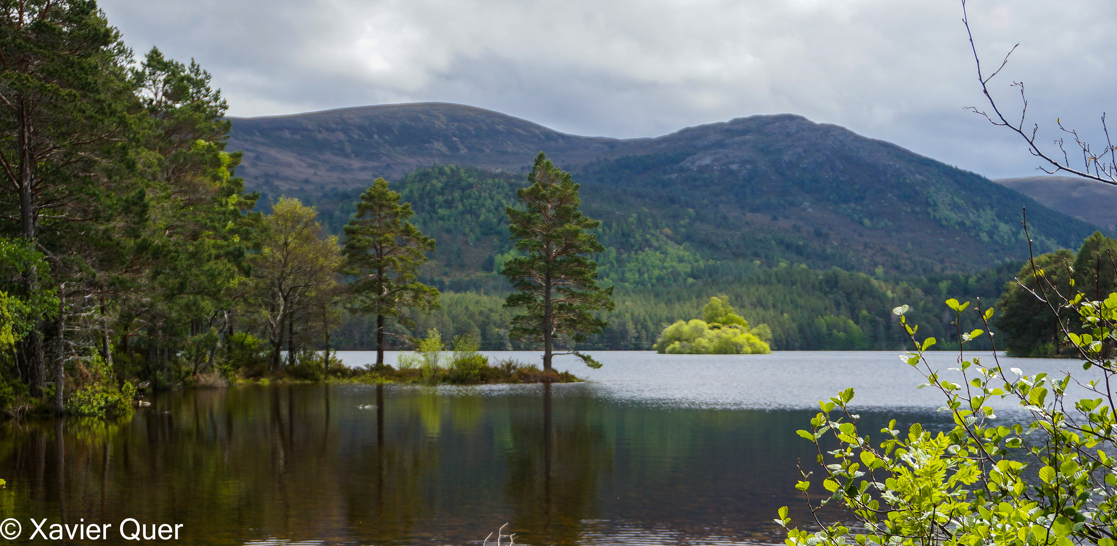 El llac An Eilein a Rothiemurchus, dins del Cairngorms National Park. Escòcia