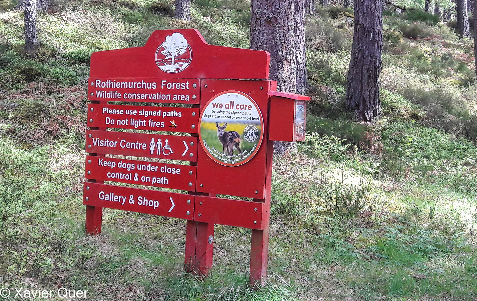 Accés al bosc de Rothiemurchus, dins del Cairngorms National Park. Escòcia