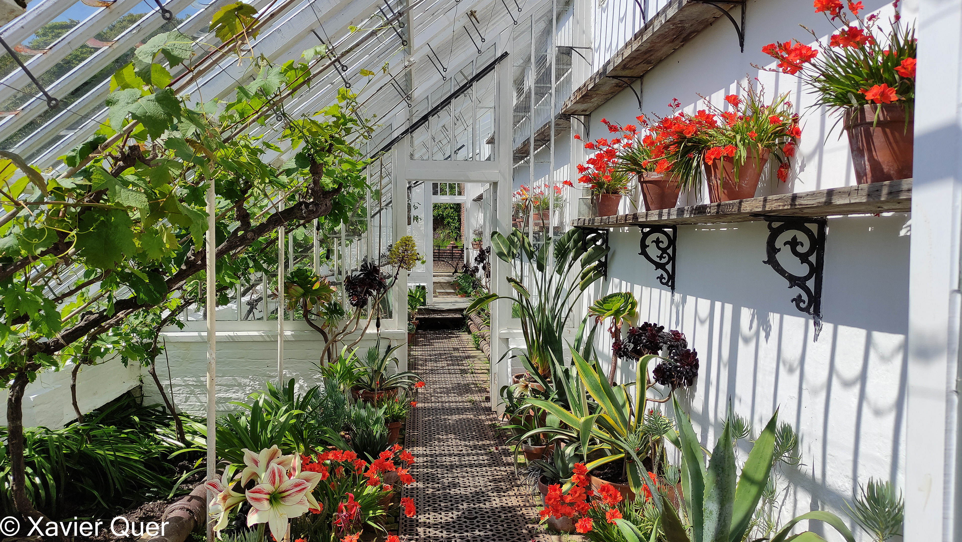 Zona d'hivernacles, Lost Gardens of Heligan