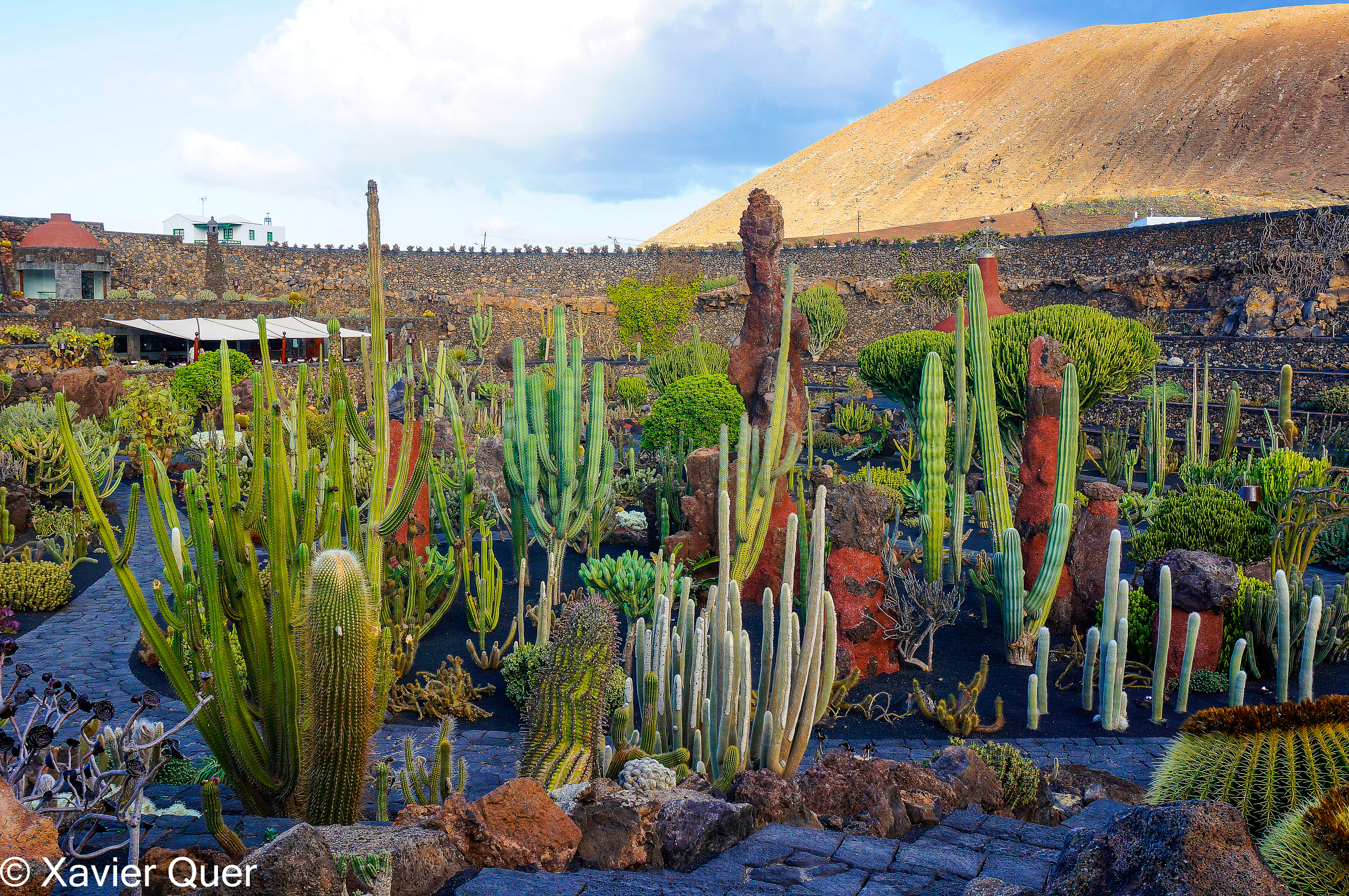Jardín de Cactus, Guatiza