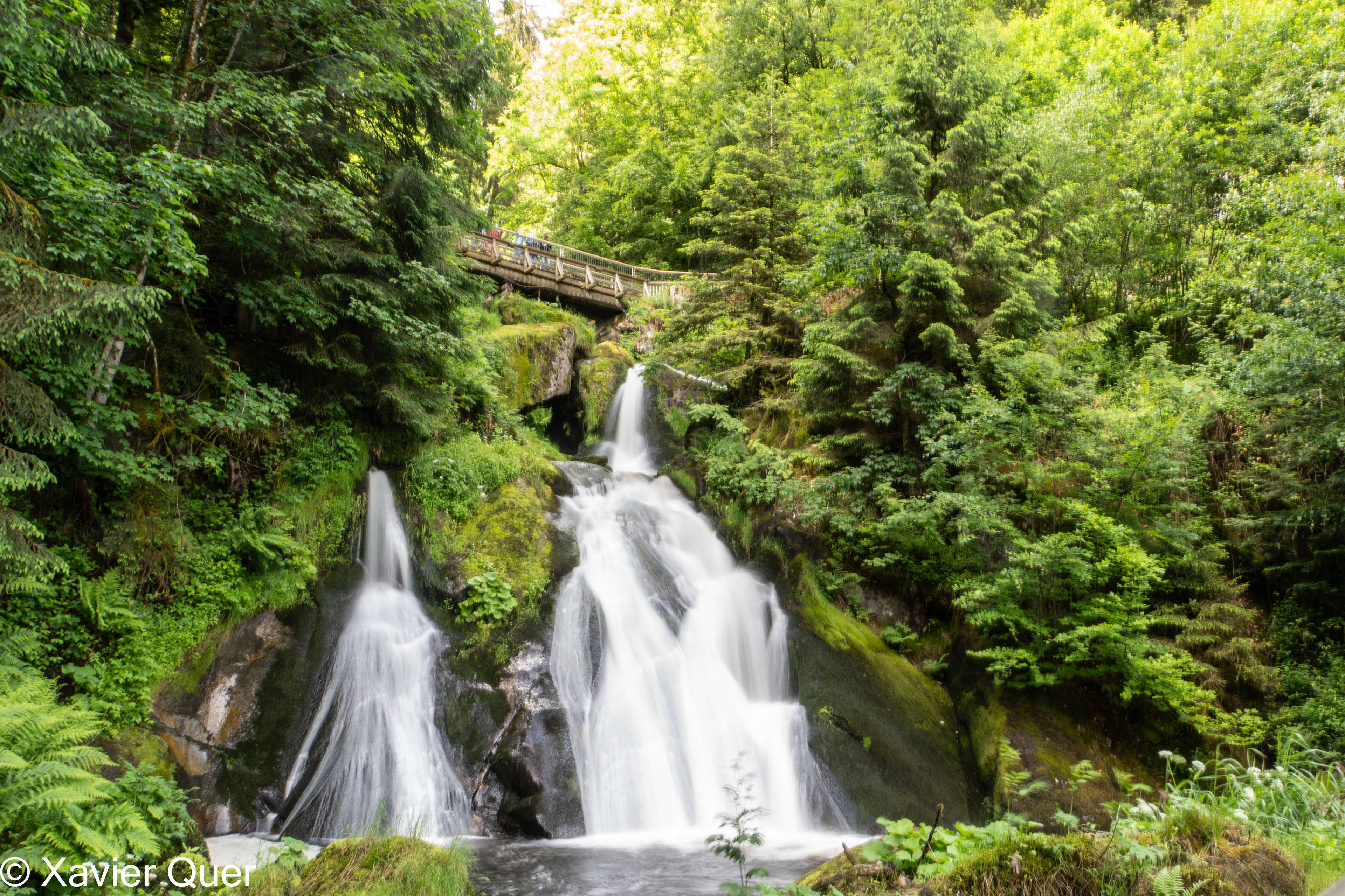 Vista parcial de la cascada de Triberg (Triberger Wasserfälle). Baden-Württenberg.