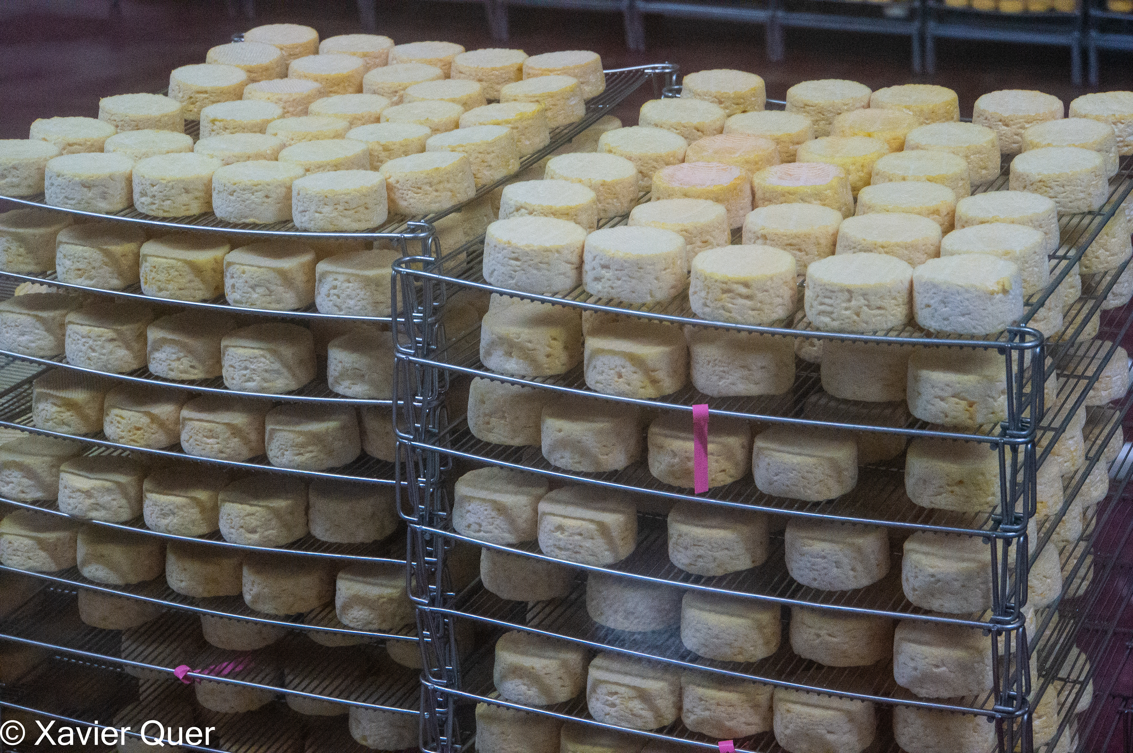 Formatges en procés de curació a la formatgeria Graindorge, a Livarot