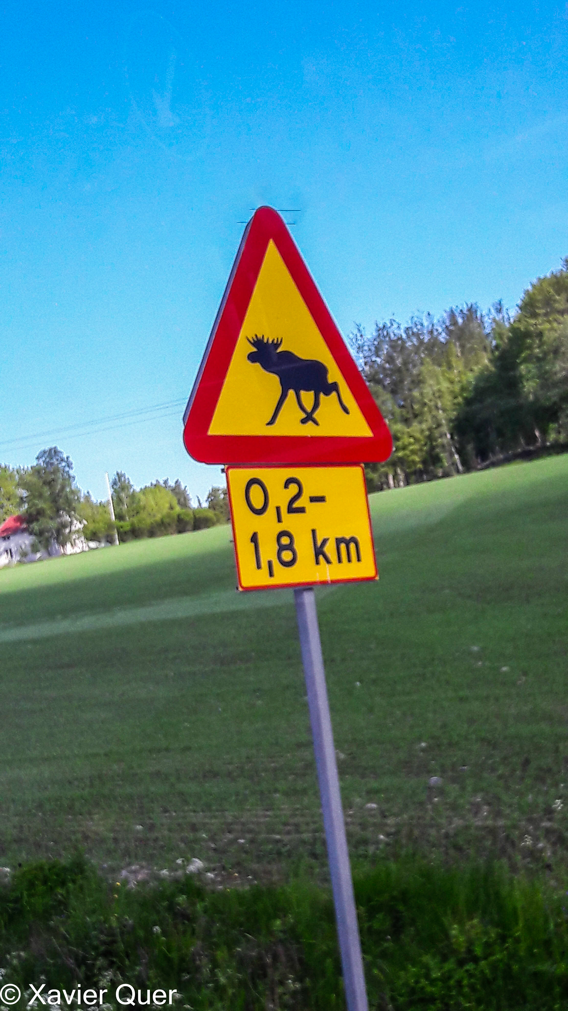 Curiós senyal de trànsit.