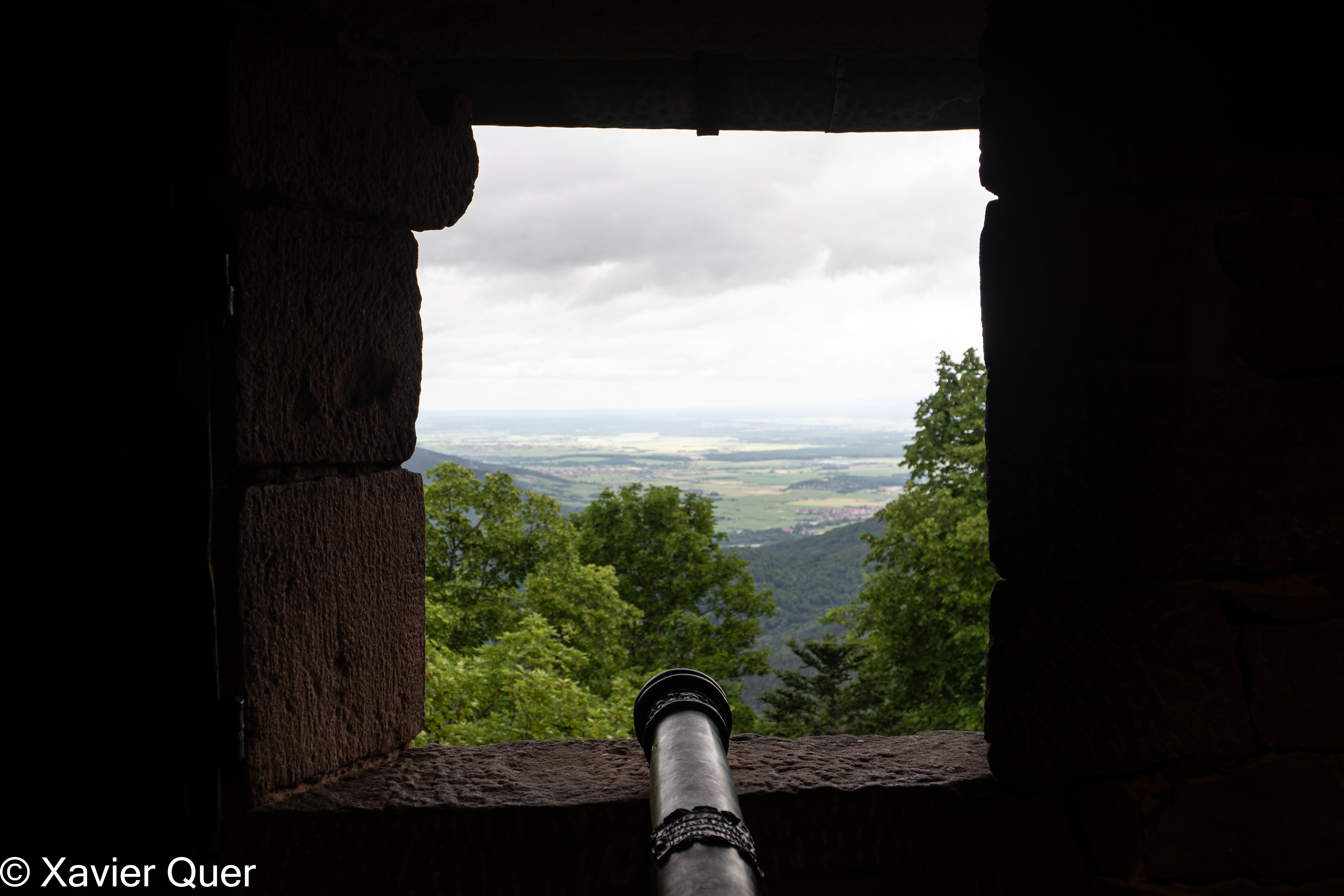 Vistes des del castell Haut-Koenigsbourg, Orschwiller. Bas Rhin, Grand Est, França