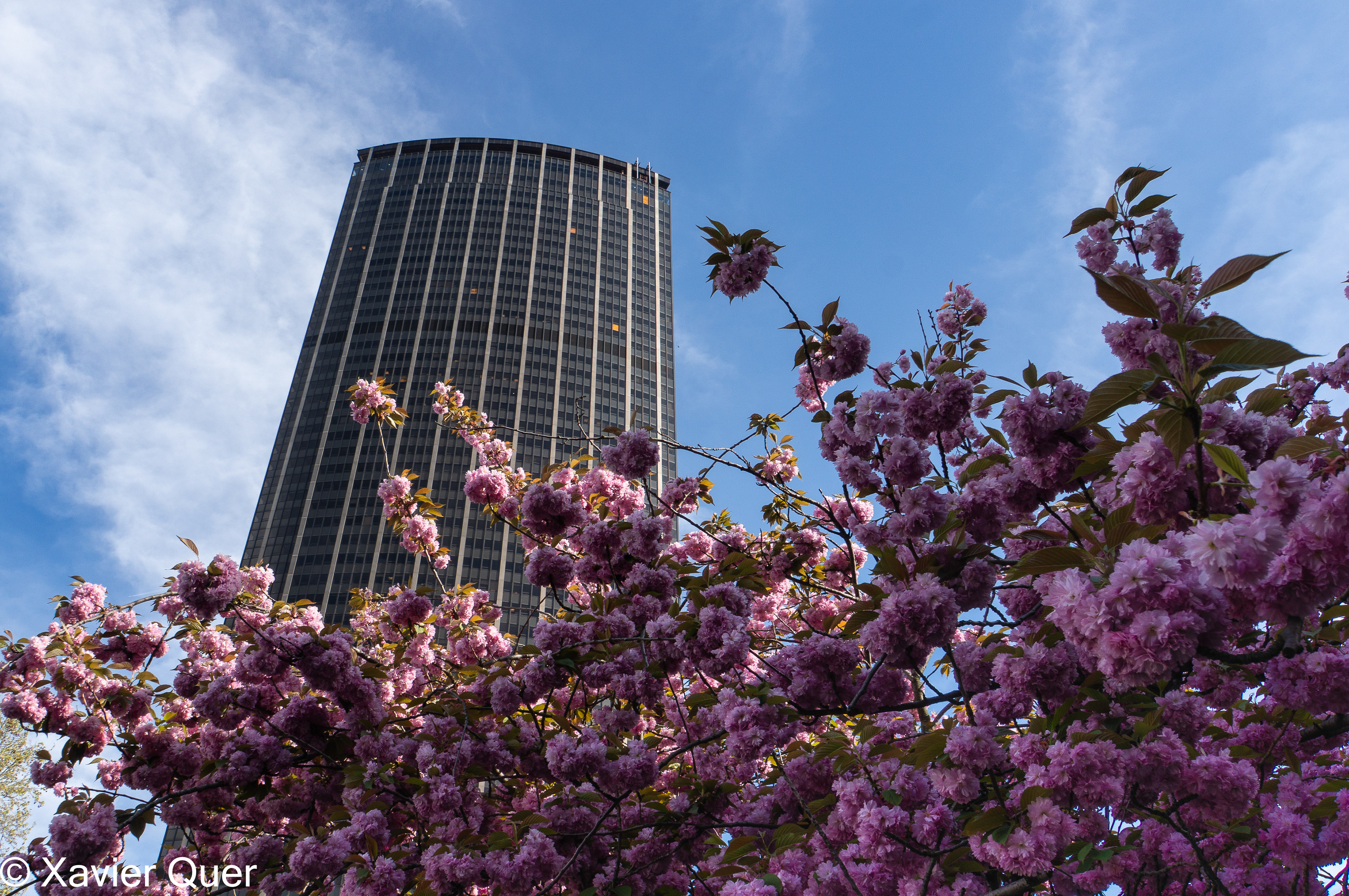 La Tour Montparnasse, París