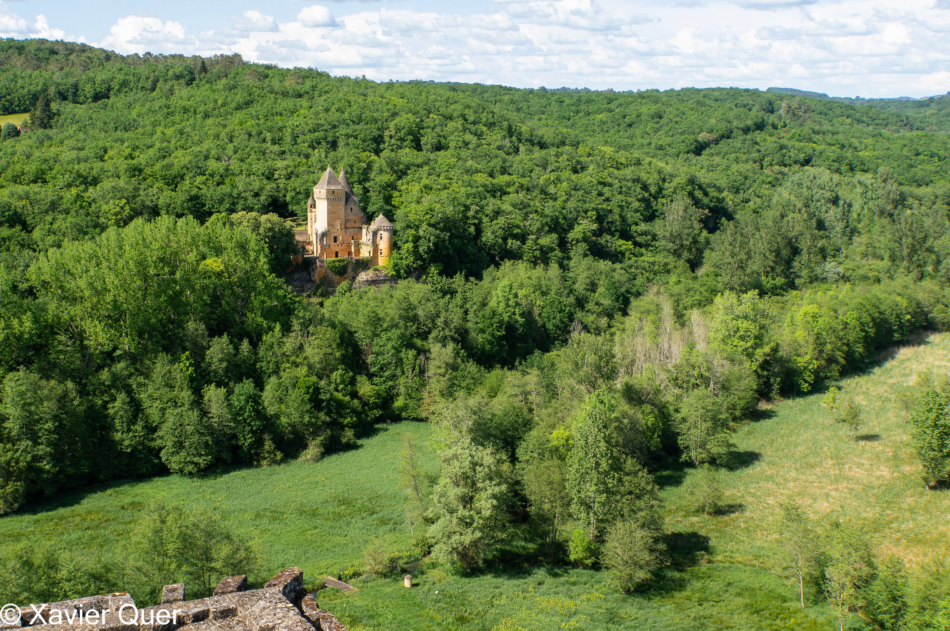 Vistes en verd des del castell de Commarque, Dordonya, França