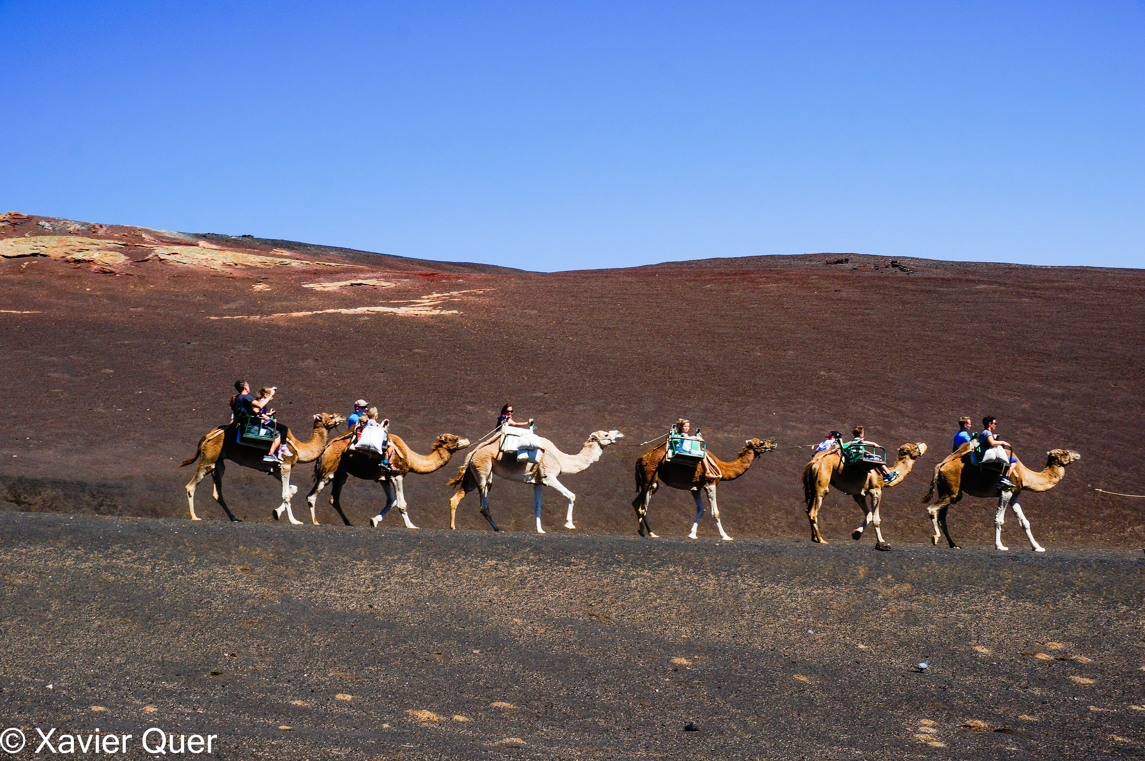 Excursió amb camells, Timanfaya