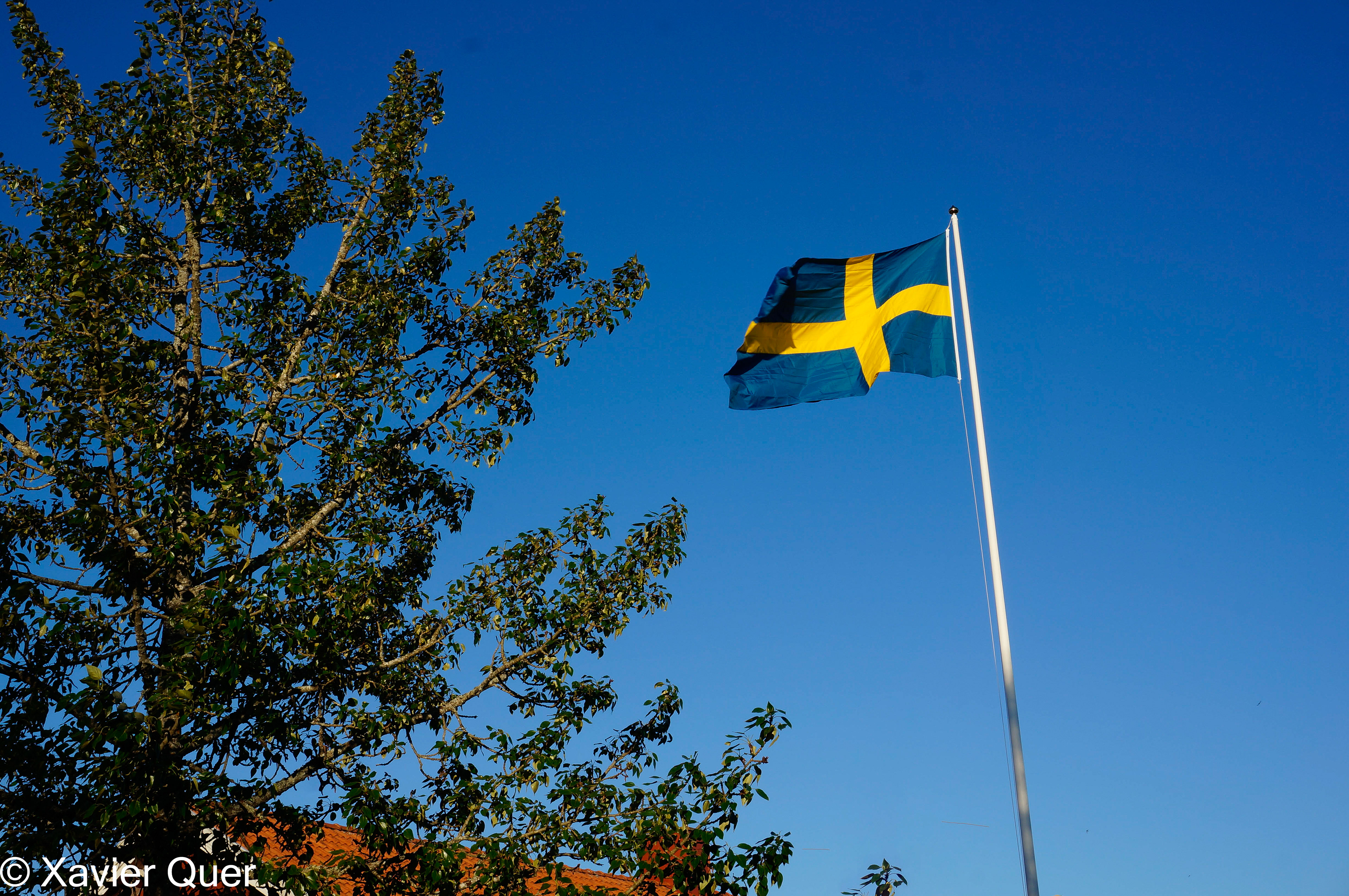 La bandera d'IKEA, ups! de Suècia