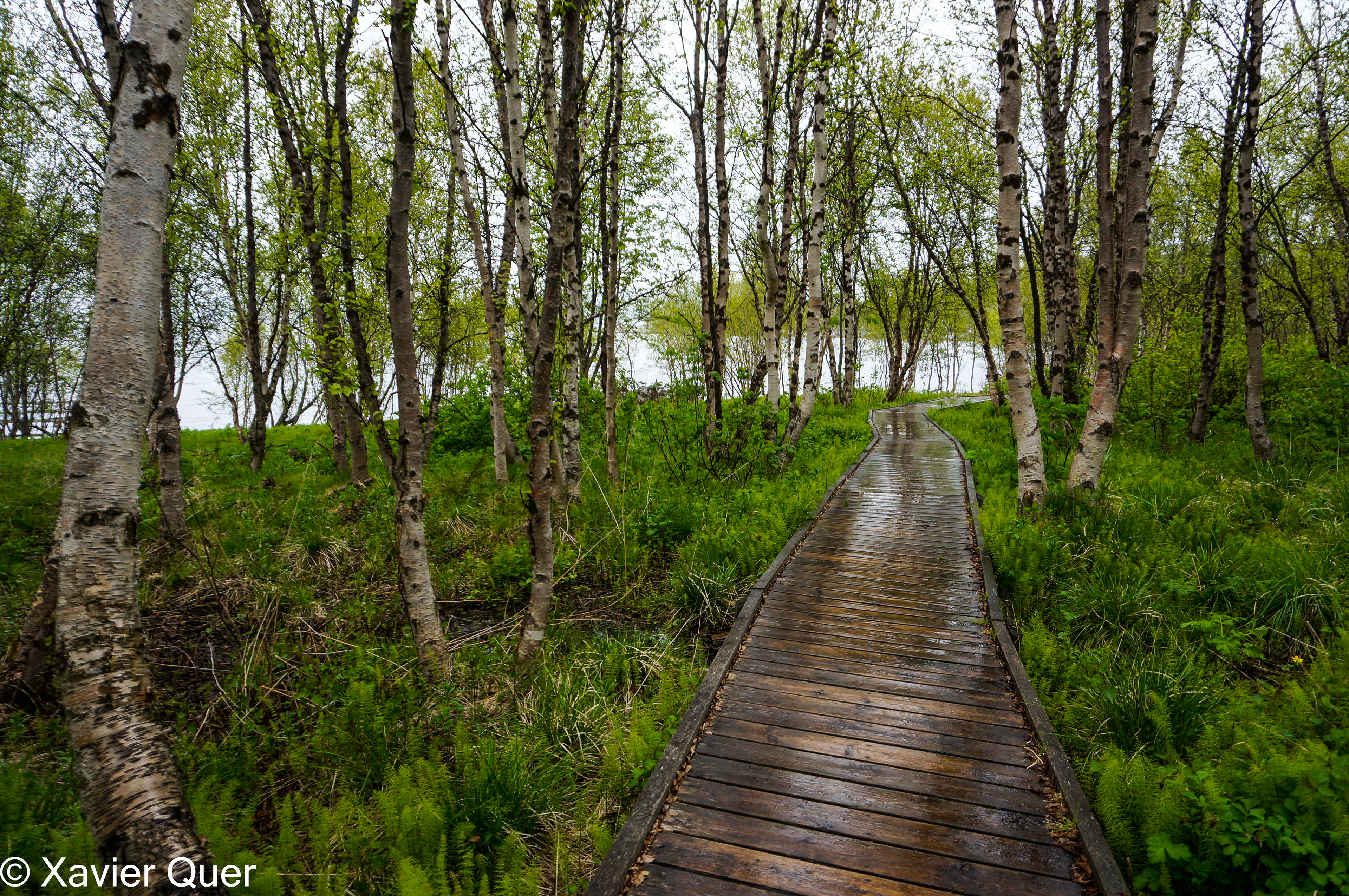 Passarel·la del Museu d'Alta (Noruega)