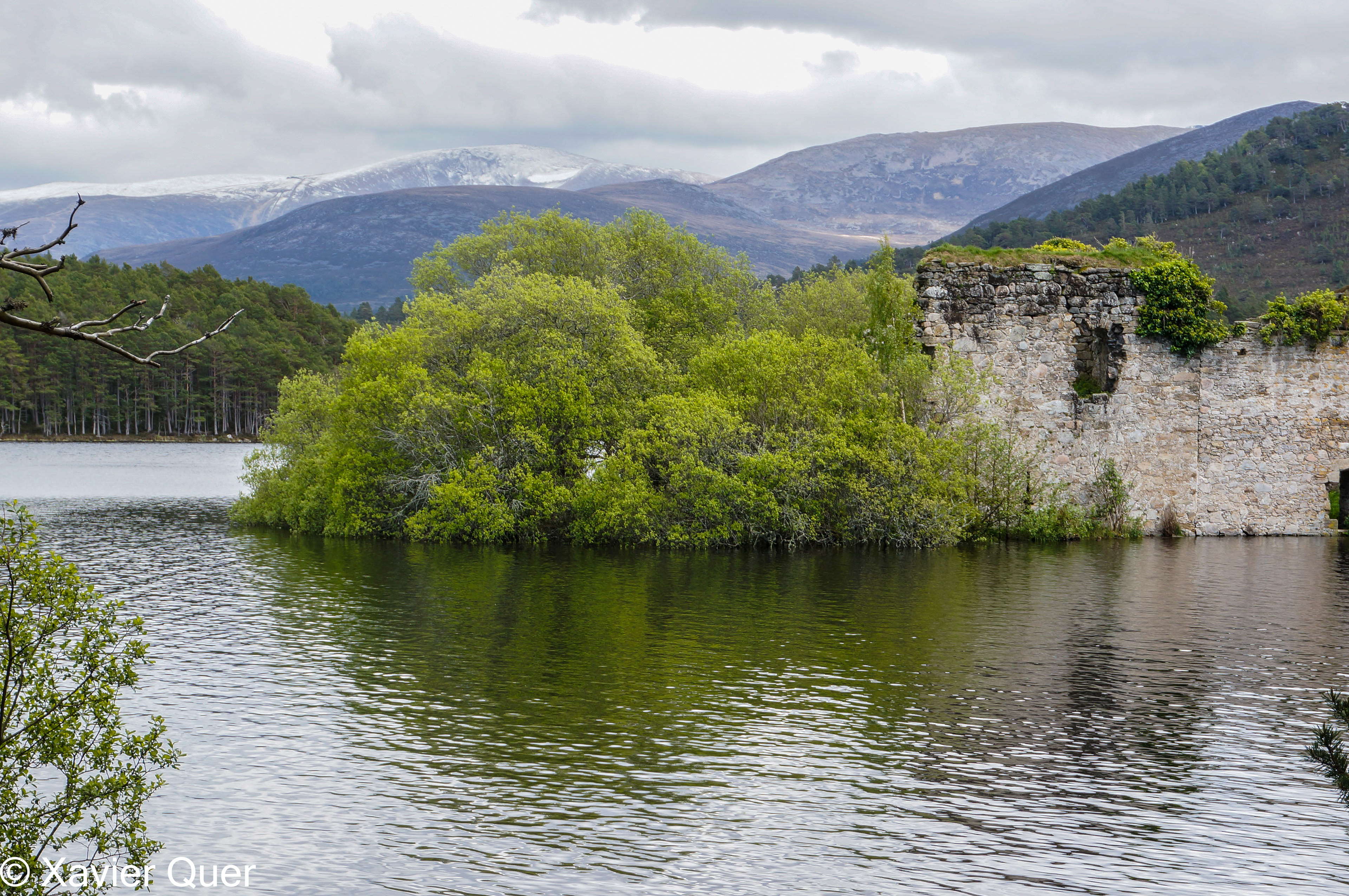 El llac An Eilein a Rothiemurchus, dins del Cairngorms National Park. Escòcia
