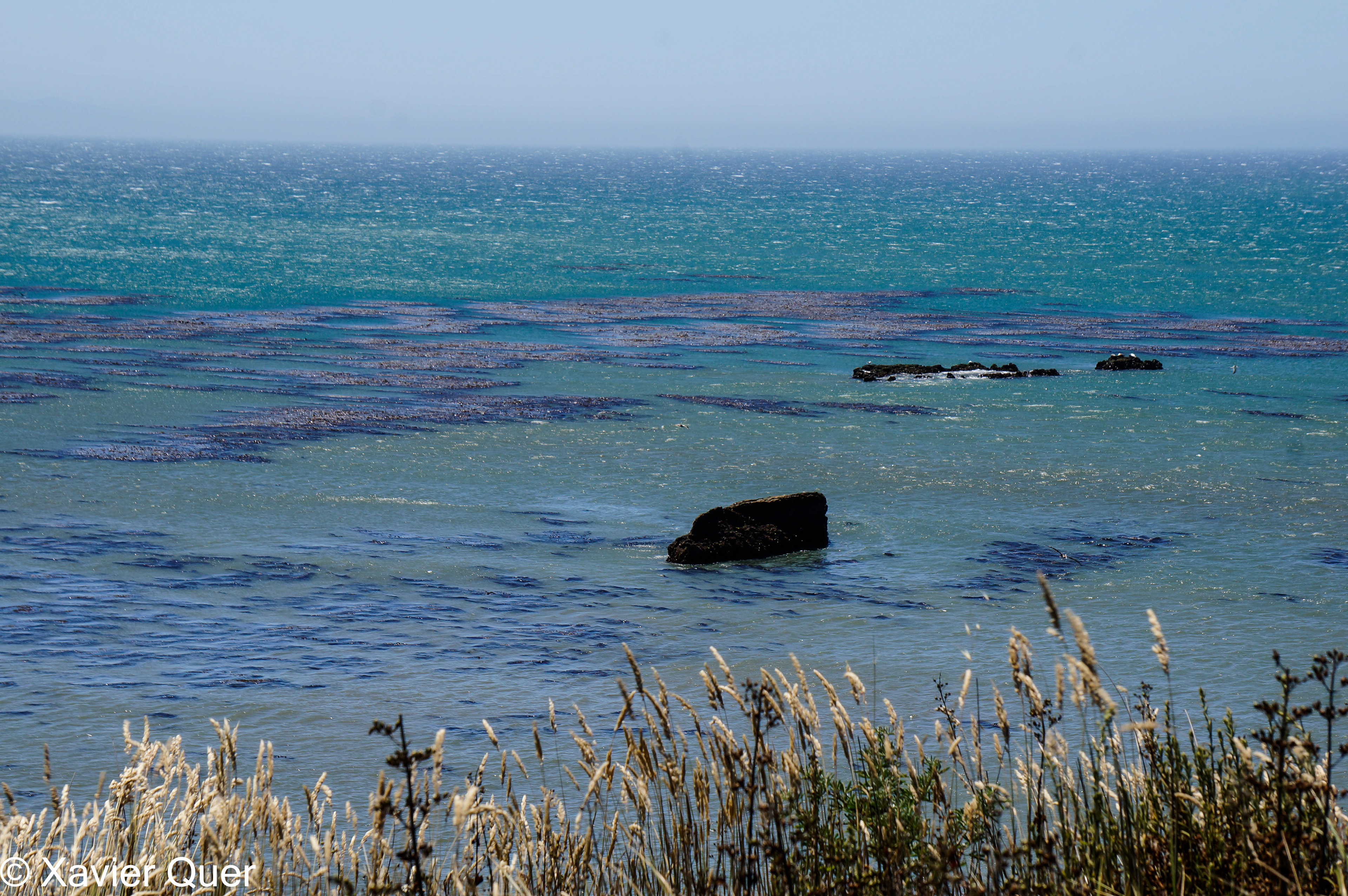 L'oceà Pacífic, Califòrnia