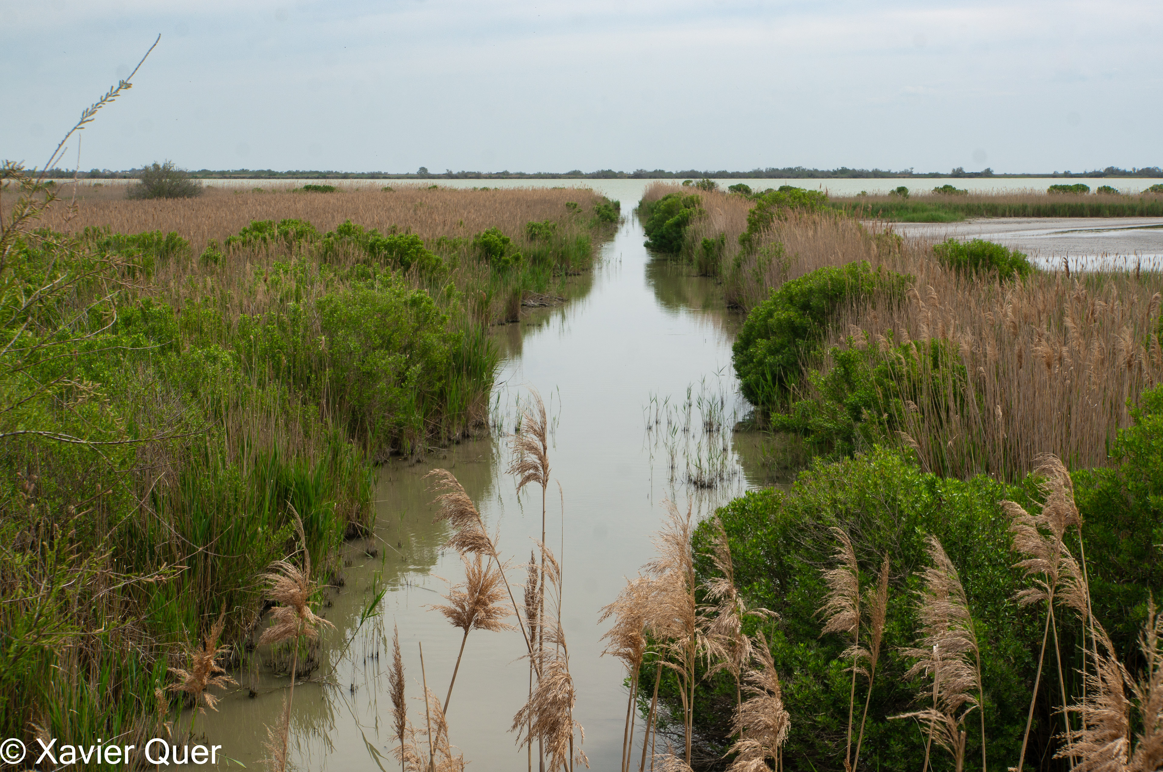 Parc ornitològic Pont de Gau