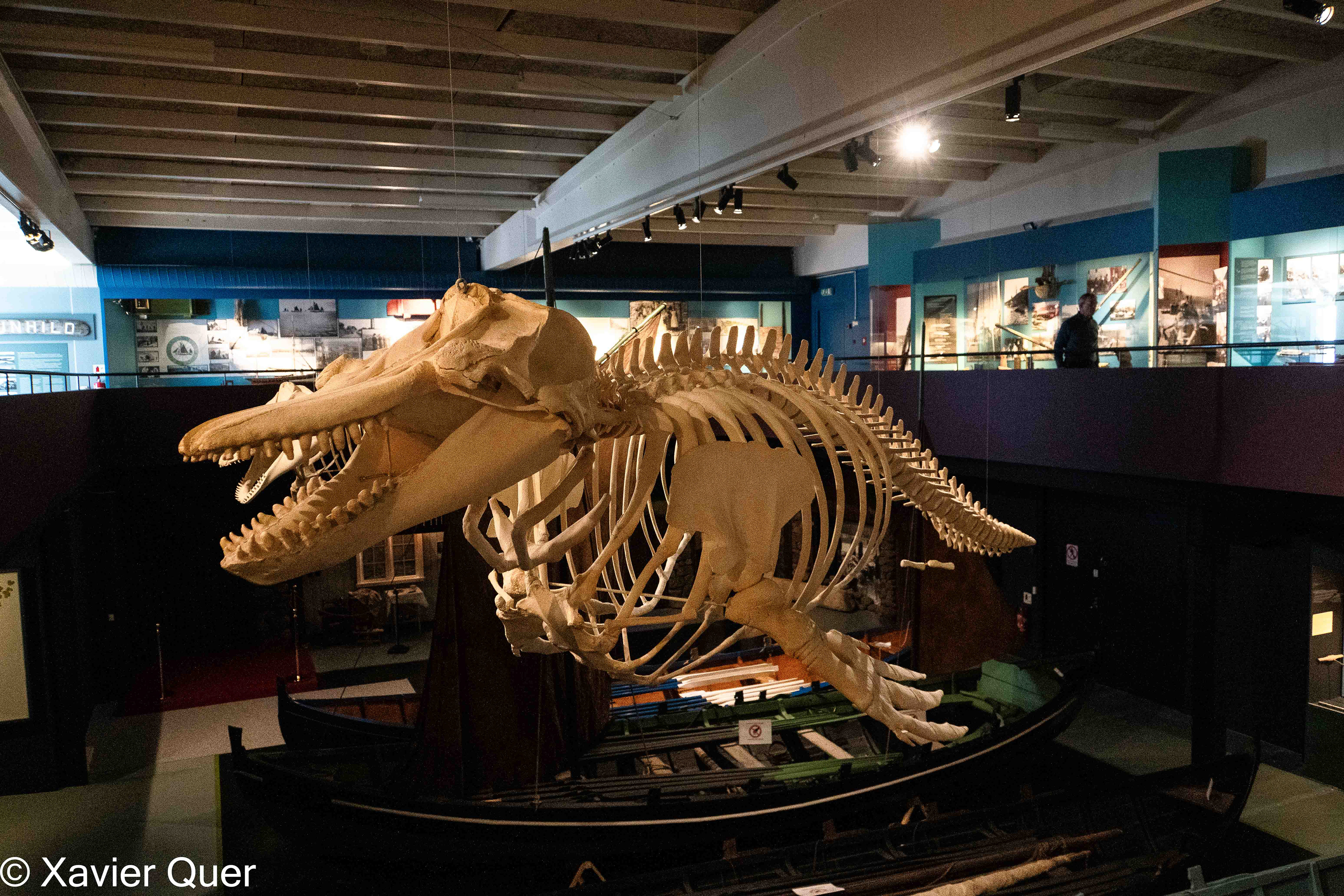Interior del Museu Nacional de les Illes Fèroe "Tjodsavnid". Torshavn, Illes Fèroe.