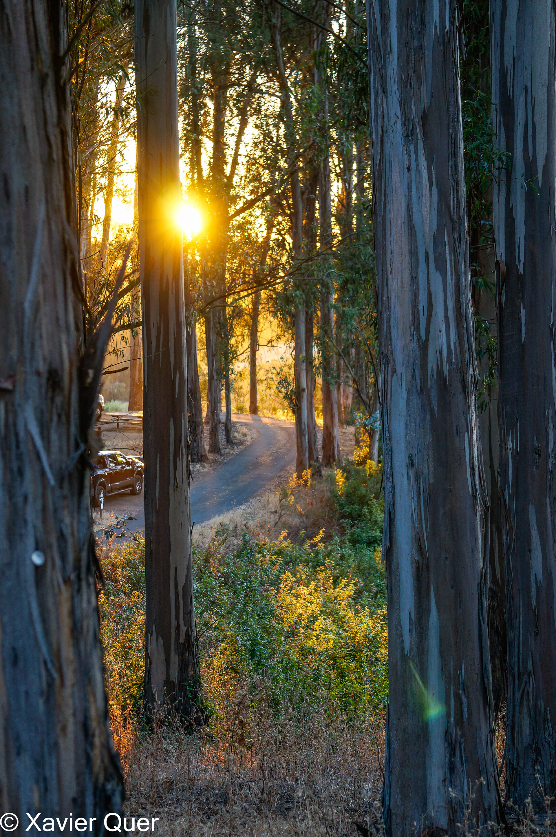 L'última posta de sol del viatge, Anthony Chabot Family Campground, Castro Valley, Califòrnia