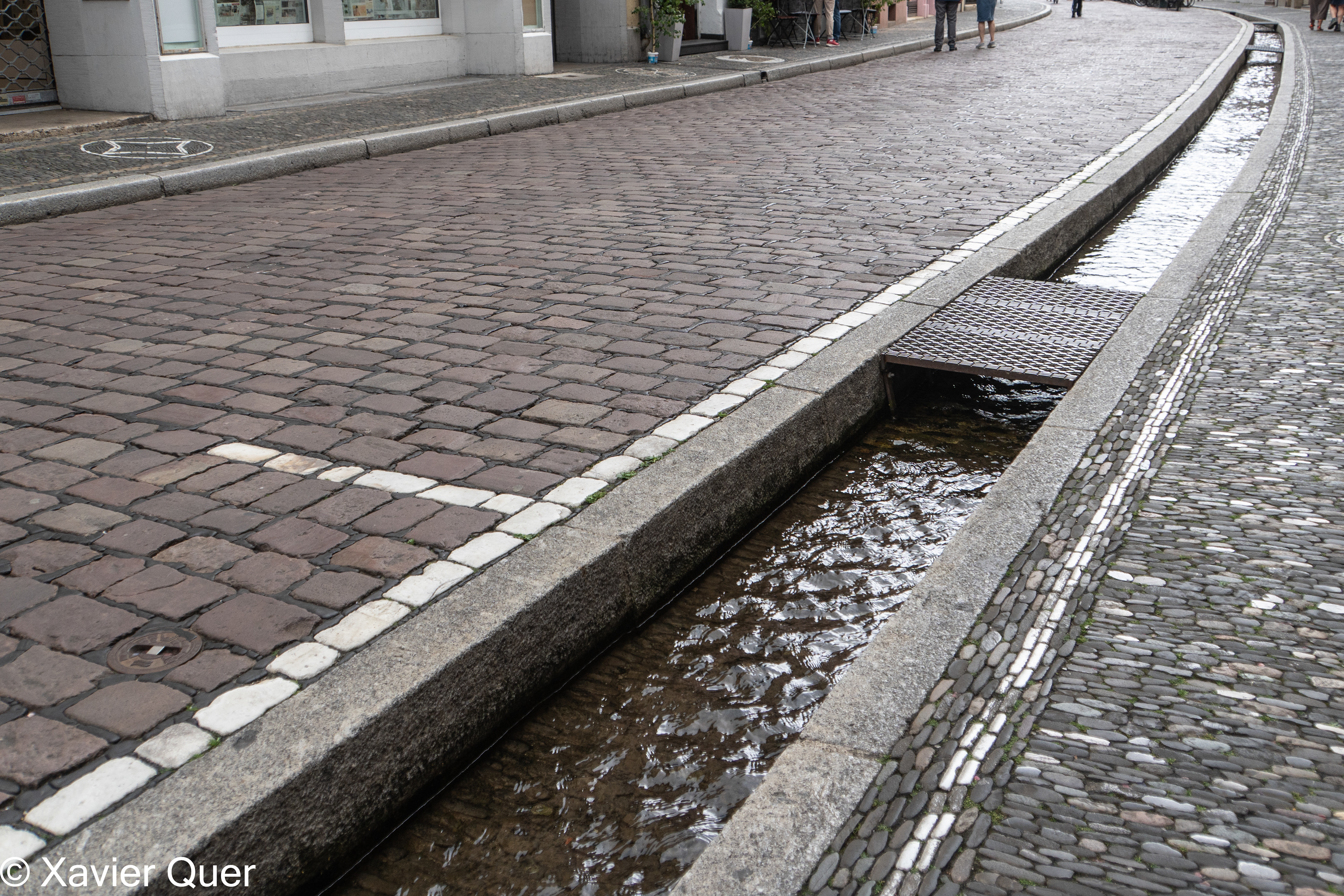 Un carrer amb canal a Friburg (Freiburg im Breisgau, Baden-Württemberg, Alemanya)