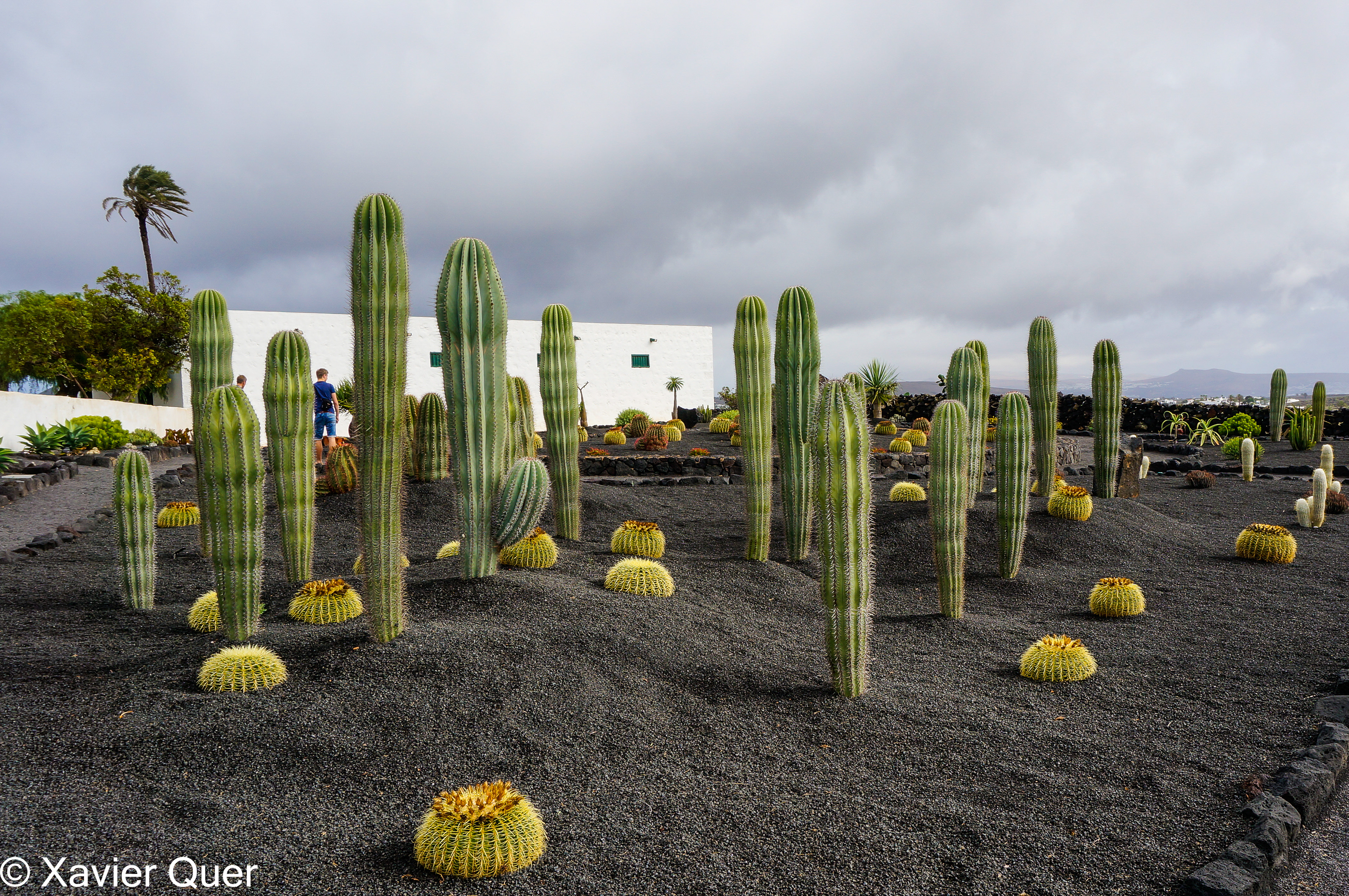 Jardins del celler El Grifo, La Gería