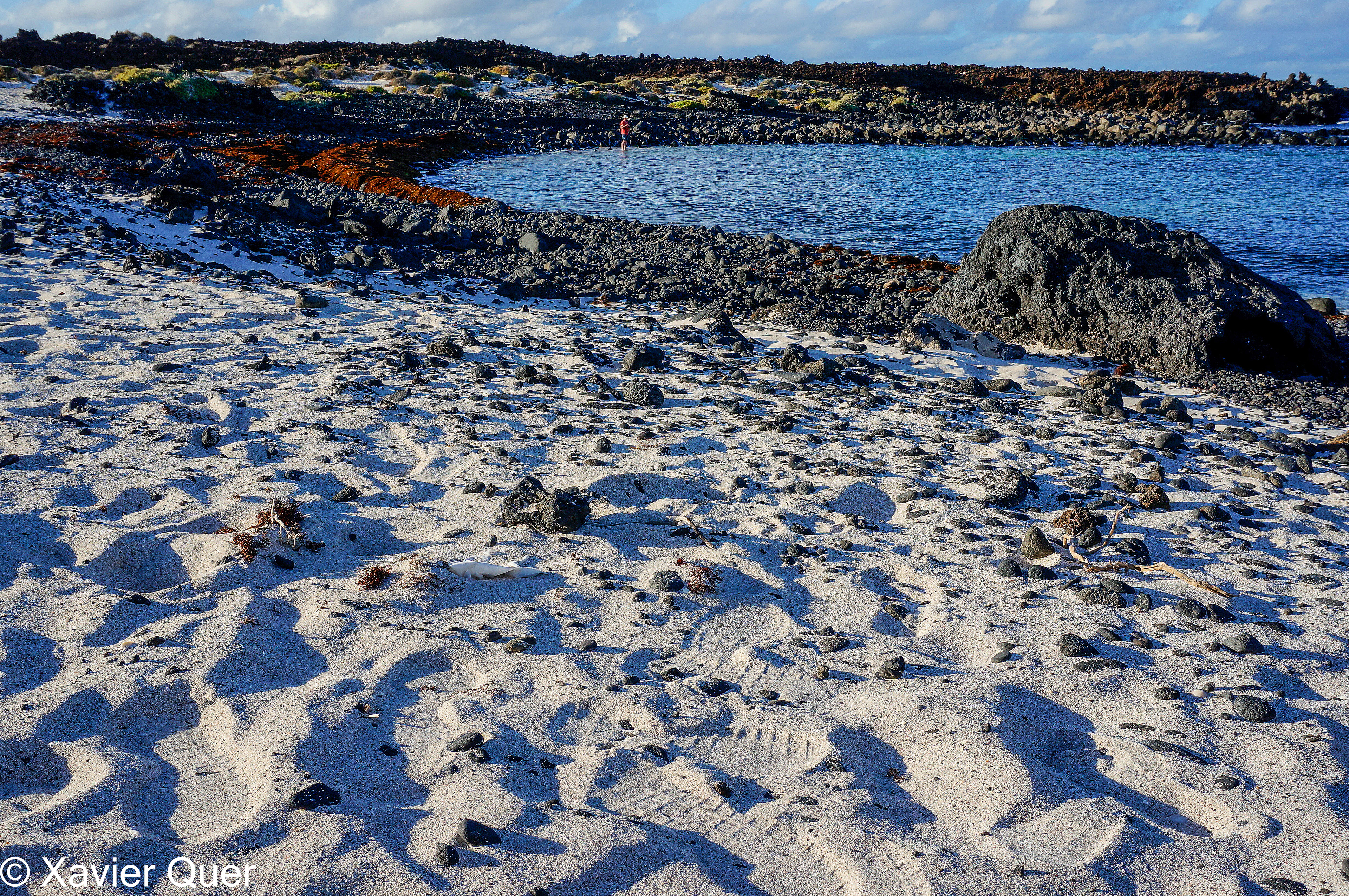 Platja de sorra blanca entre Orzola i Arrieta